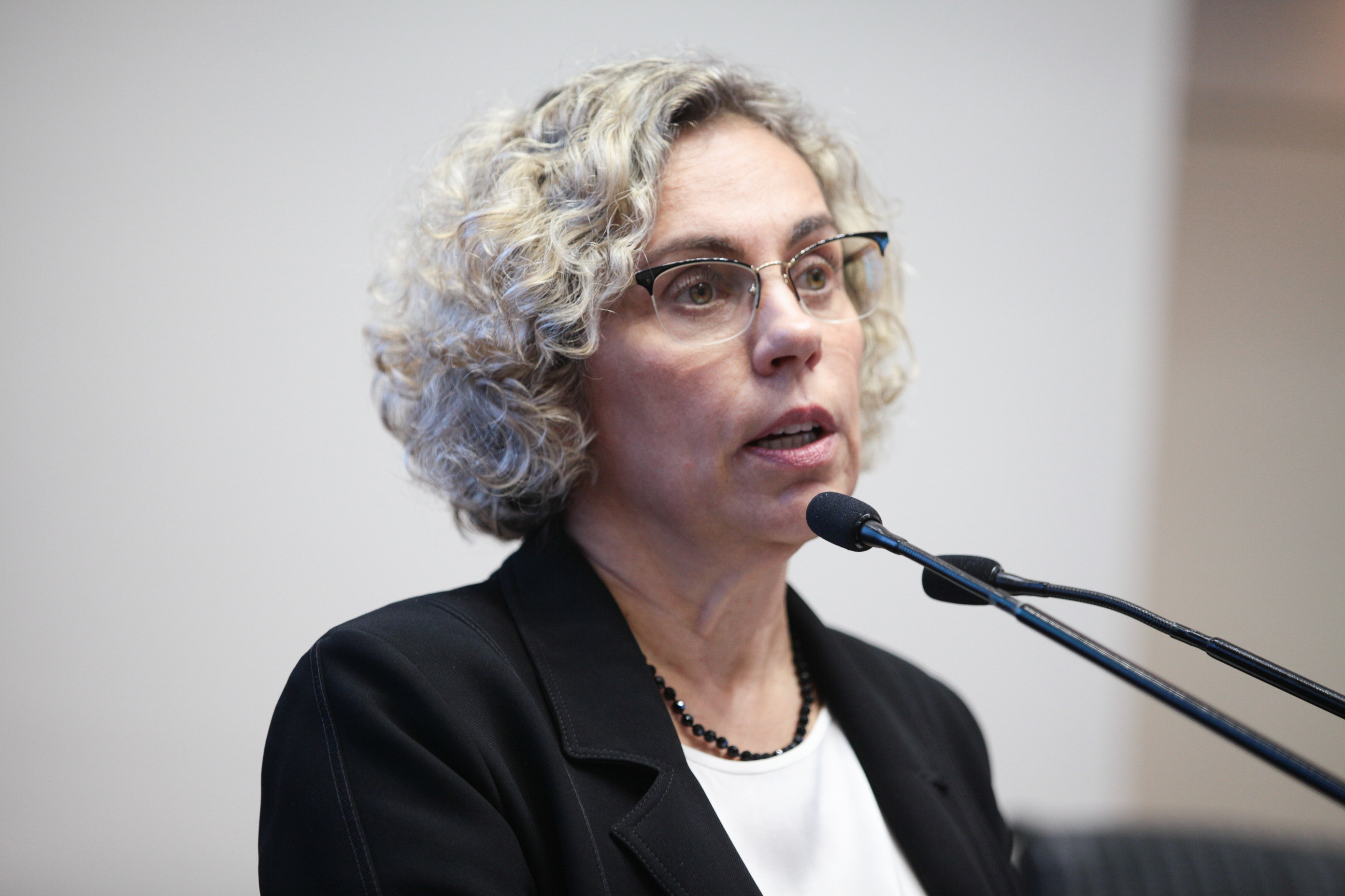 Sessão Ordinária. Deputada Ana Paula Lima (PT).