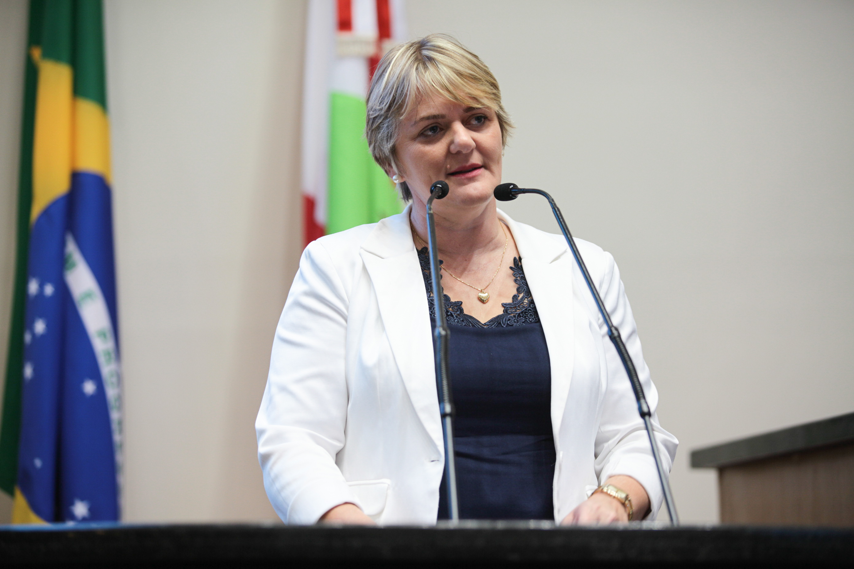 Sessão Ordinária. Deputada Luciane Carminatti (PT).