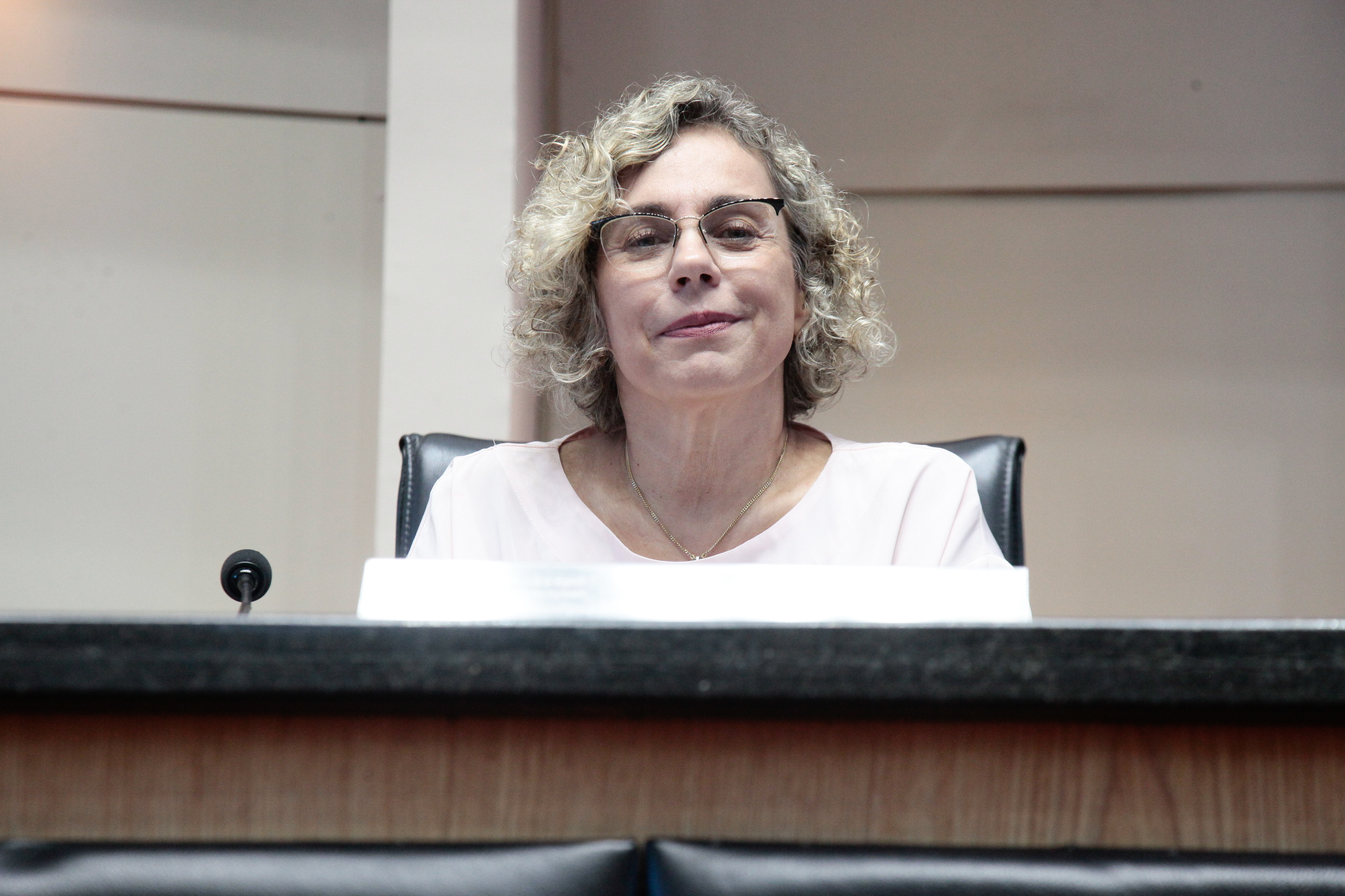 Sessão Ordinária. Deputada Ana Paula Lima (PT).