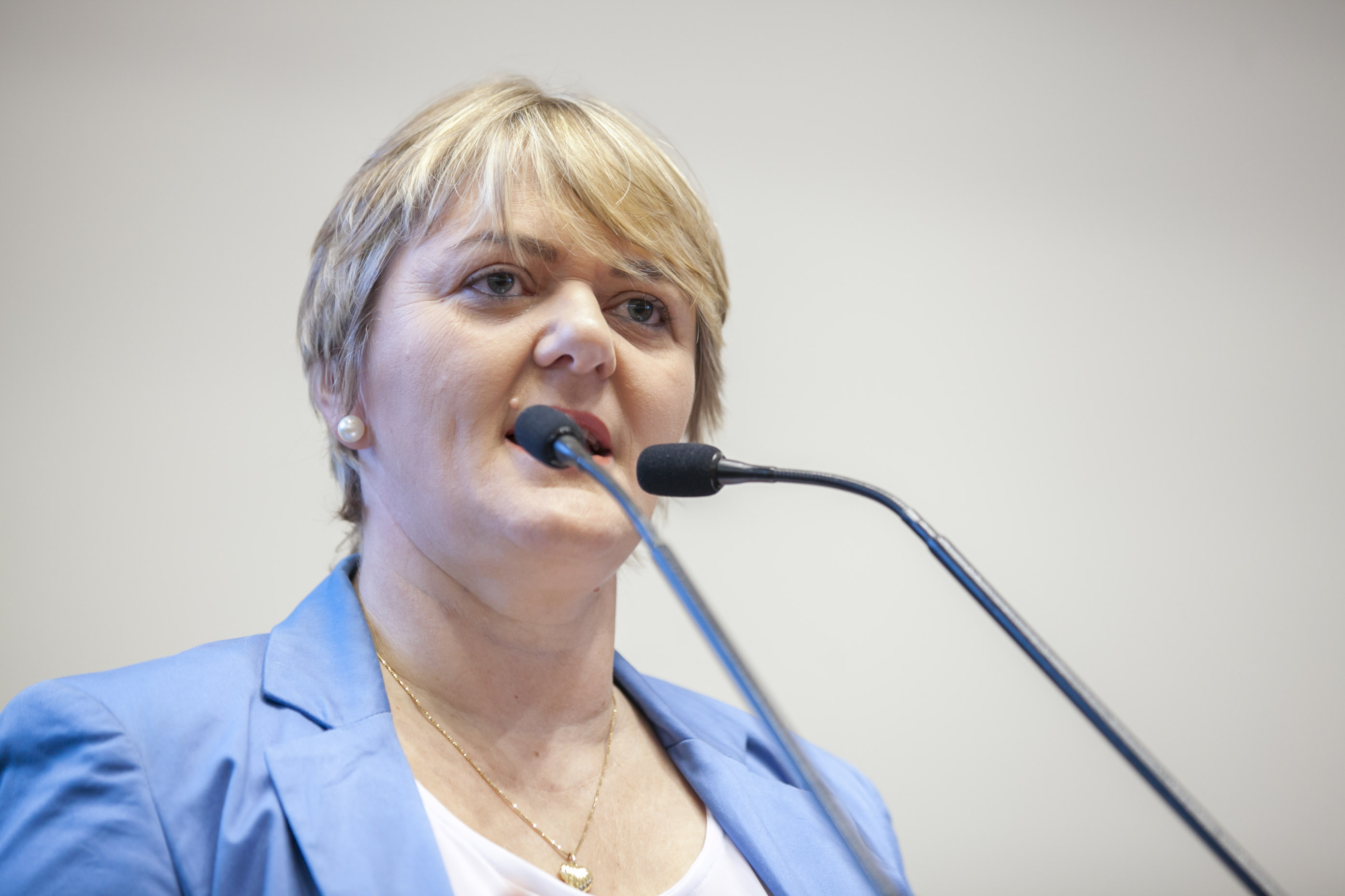 Deputada Luciane Carminatti (PT) - Sessão Ordinária