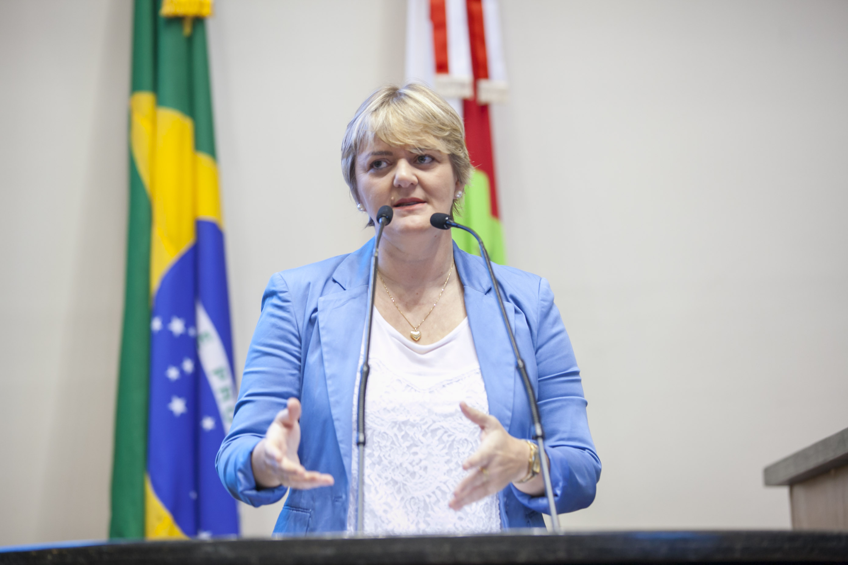 Deputada Luciane Carminatti (PT) - Sessão Ordinária