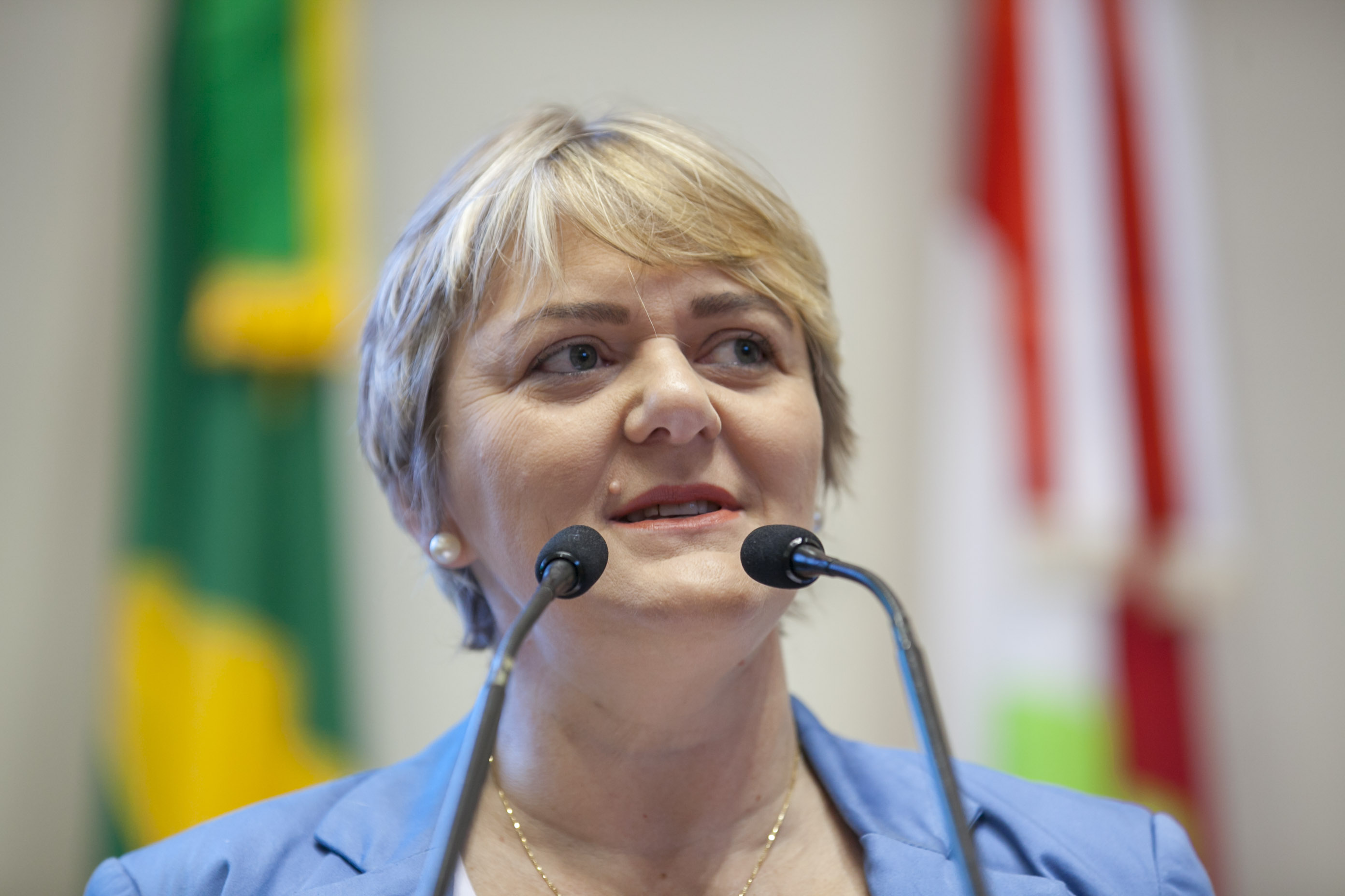 Deputada Luciane Carminatti (PT) - Sessão Ordinária
