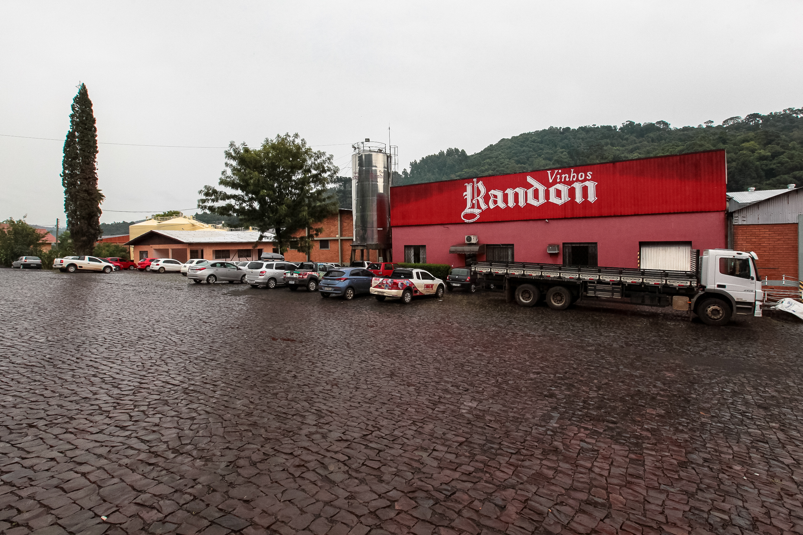 Vinícola Randon - Pinheiro Preto - SC