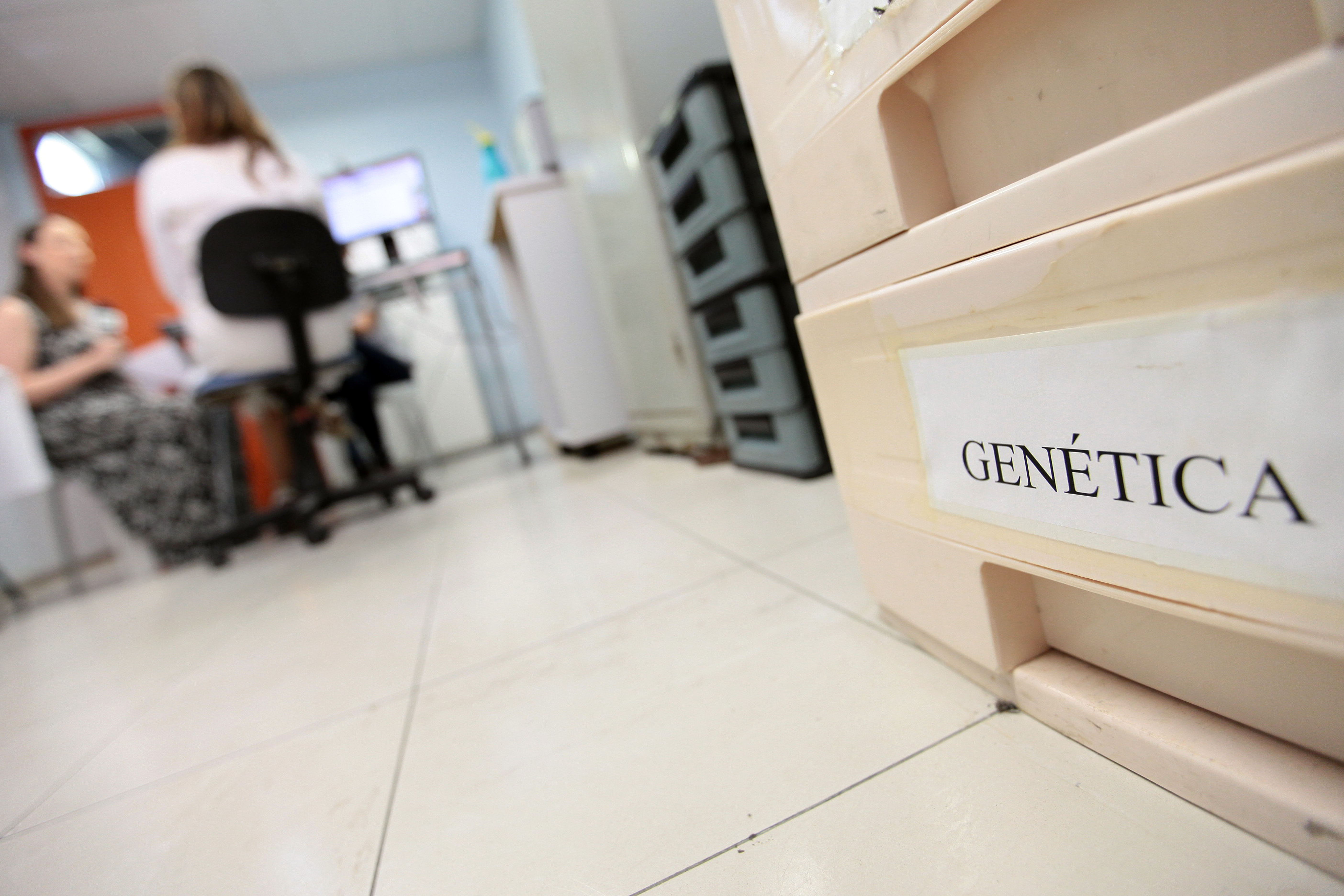 Hospital Infantil Joana de Gusmão.