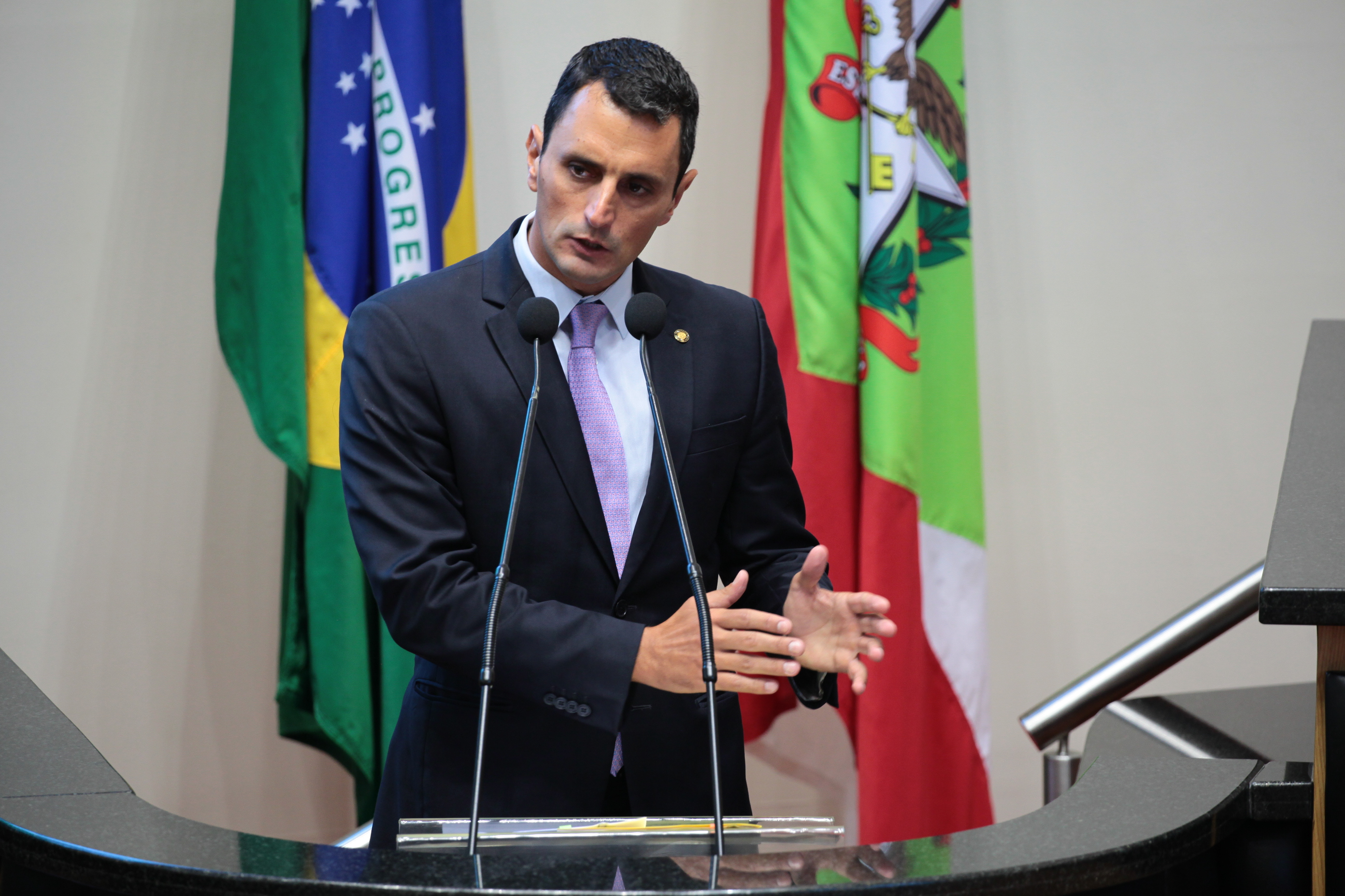Sessão Ordinária. Deputado João Amin (PP)