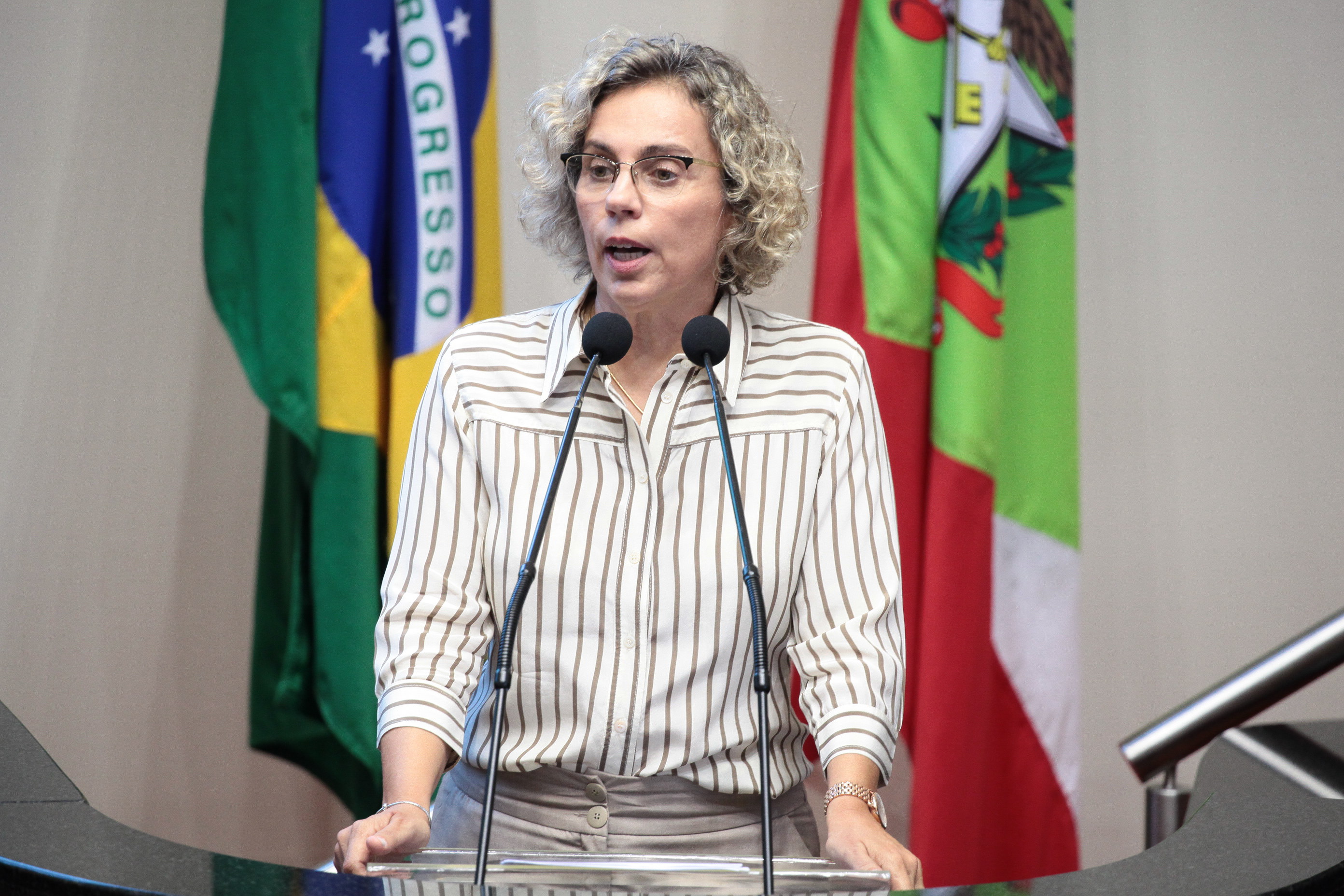 Sessão Ordinária. Deputada Ana Paula Lima (PT)