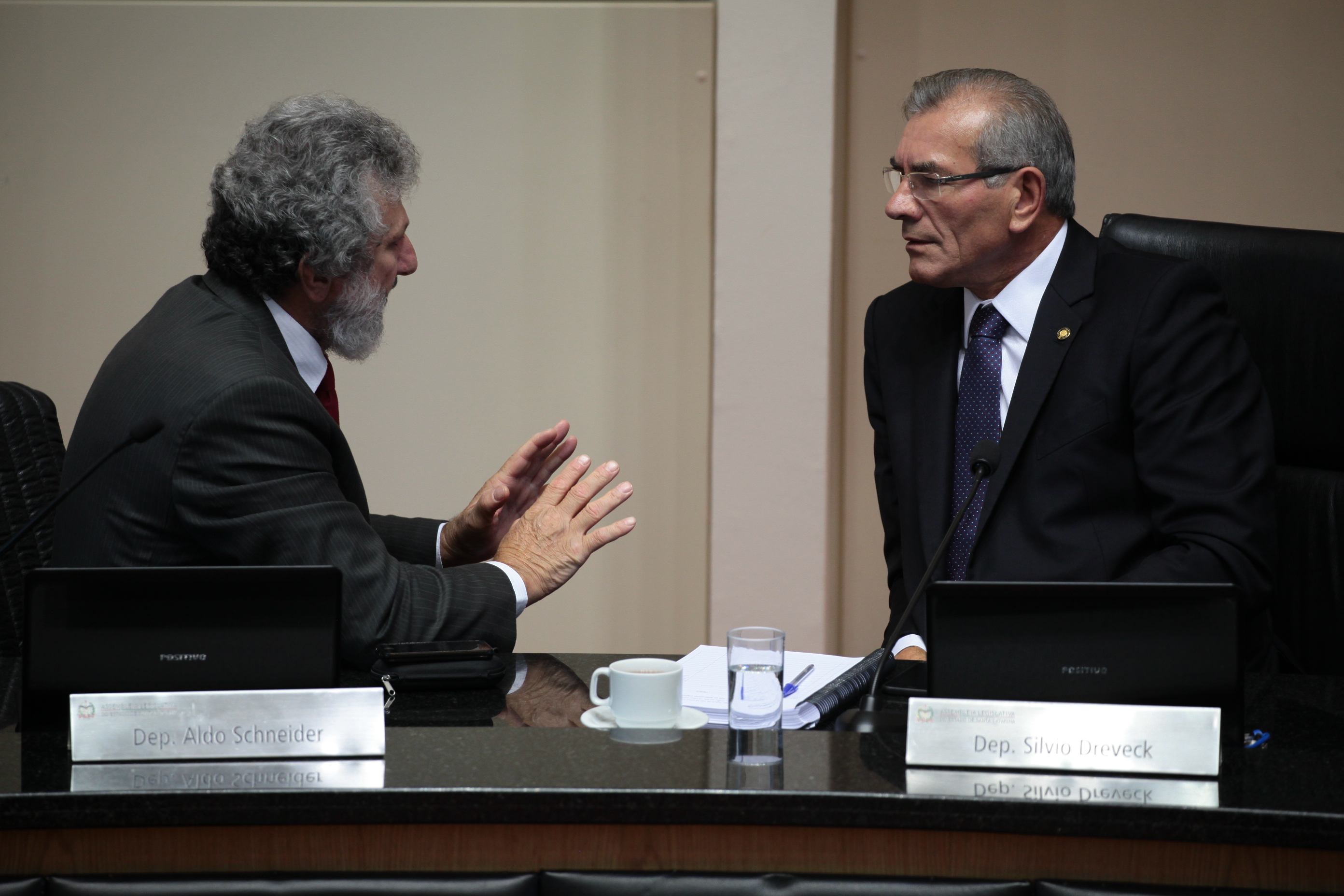 Sessão Ordinária.