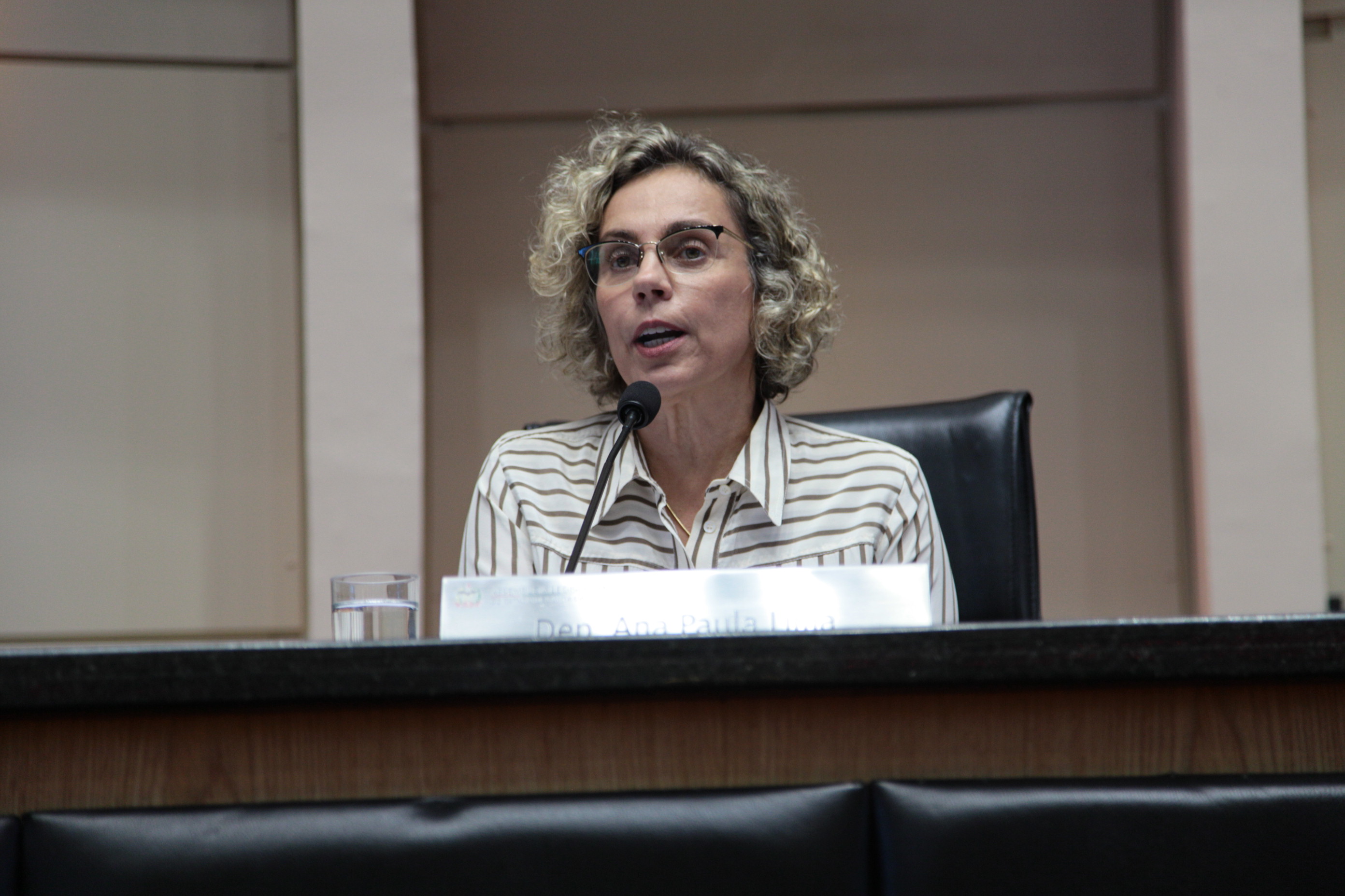 Sessão Ordinária. Deputada Ana Paula Lima (PT)