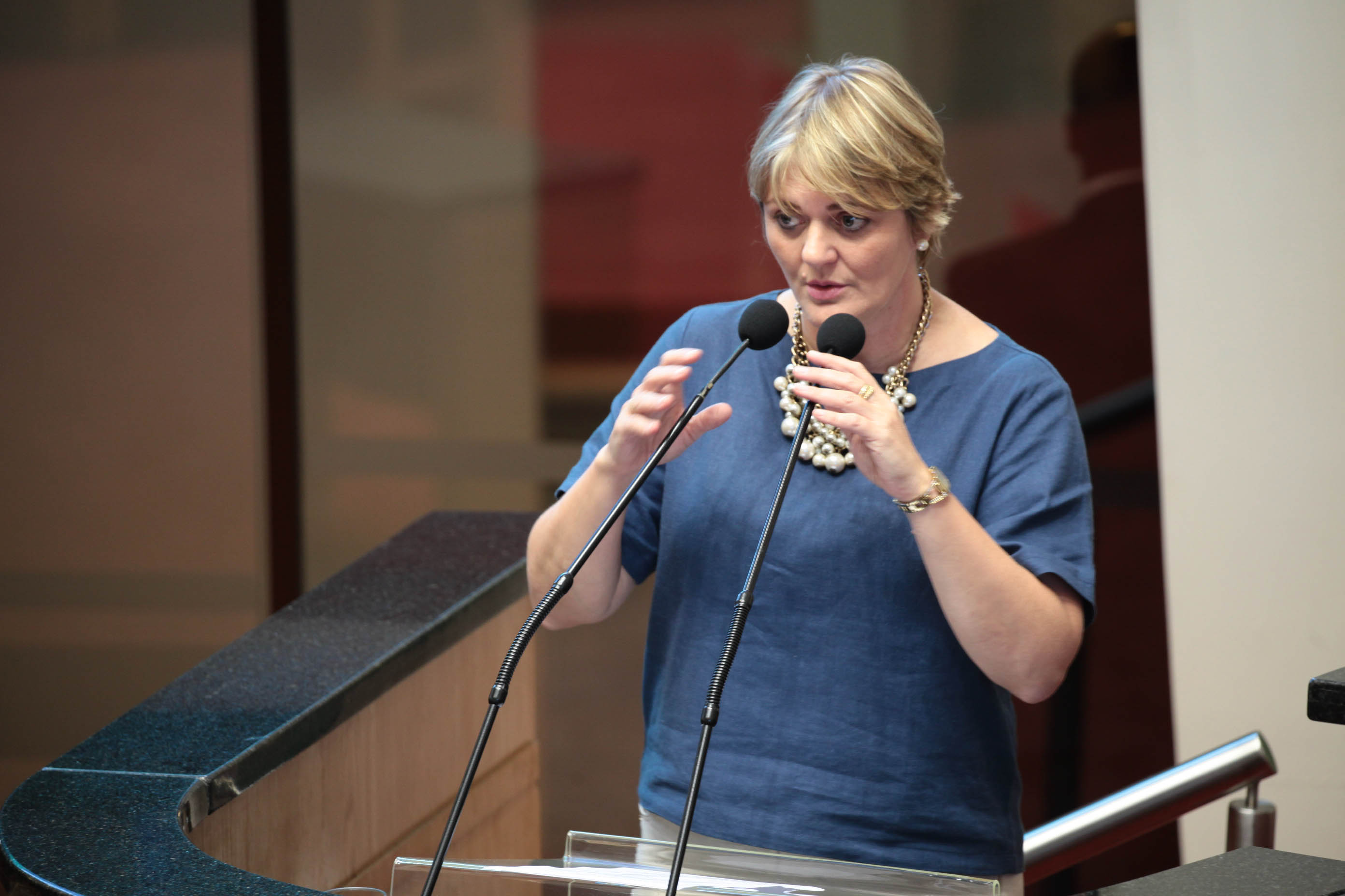 Sessão Ordinária. Deputada Luciane Carminatti (PT).