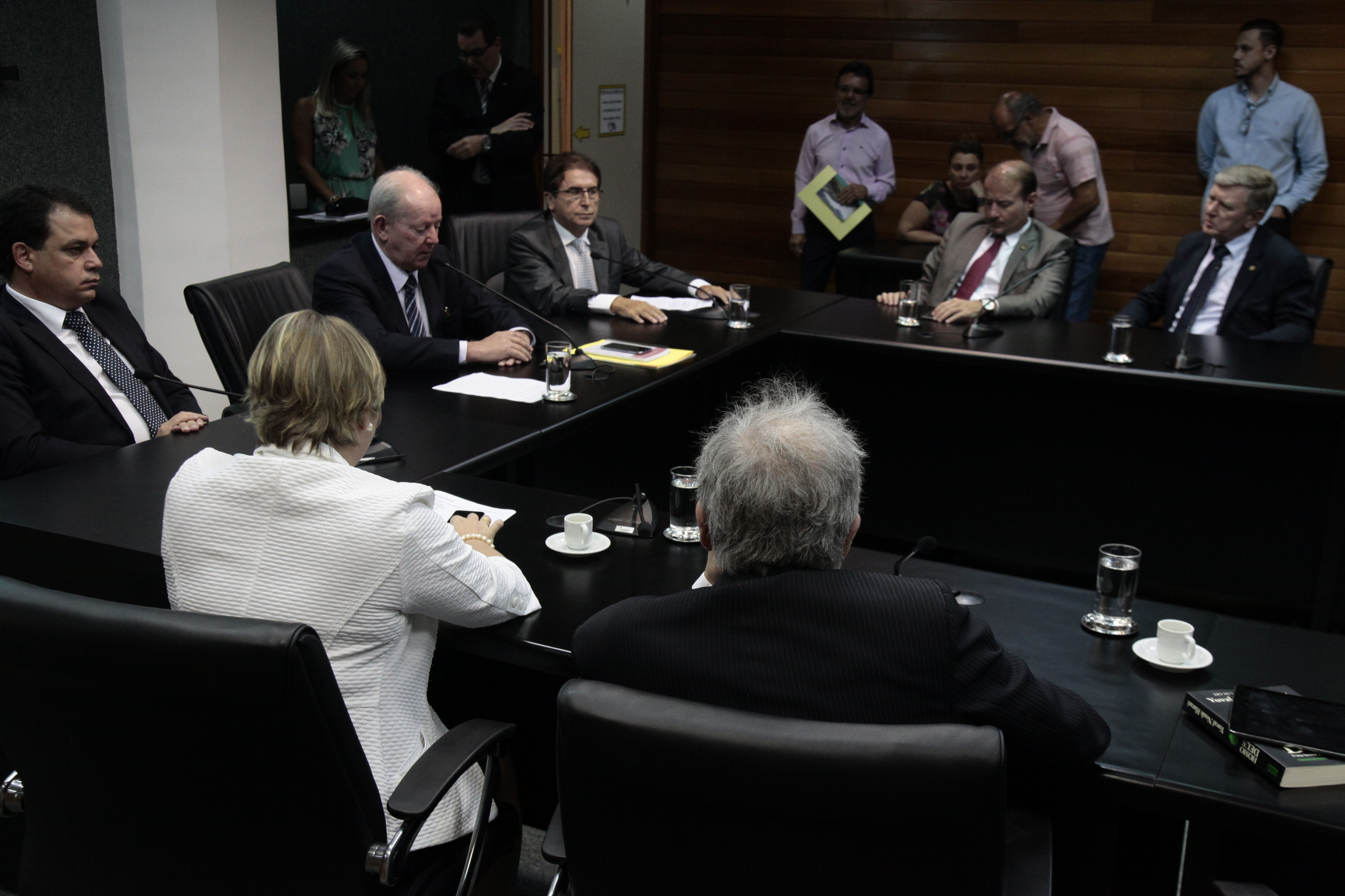 Instalação da Comissão de Finanças e Tributação.