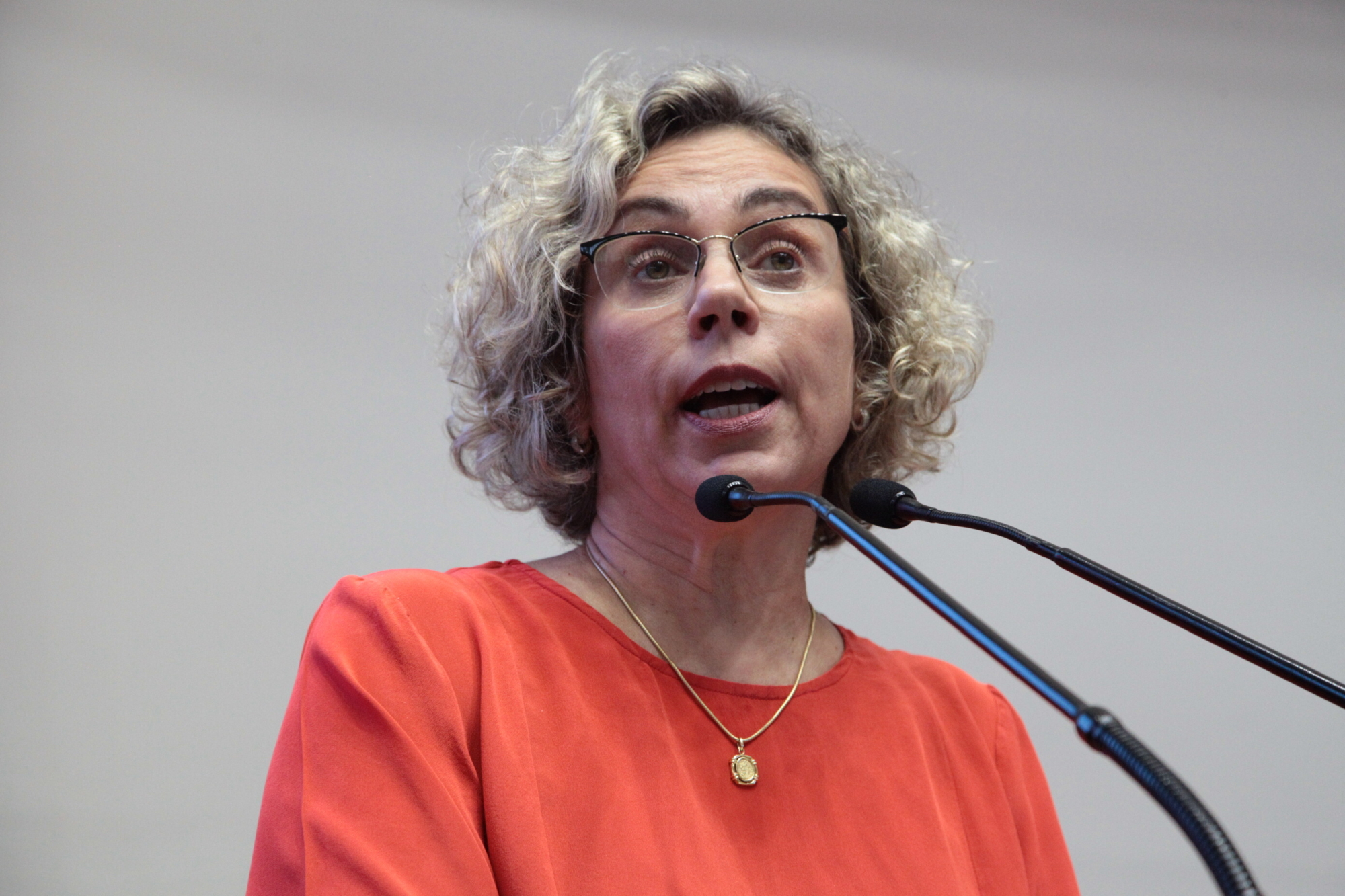 Deputada Ana Paula Lima