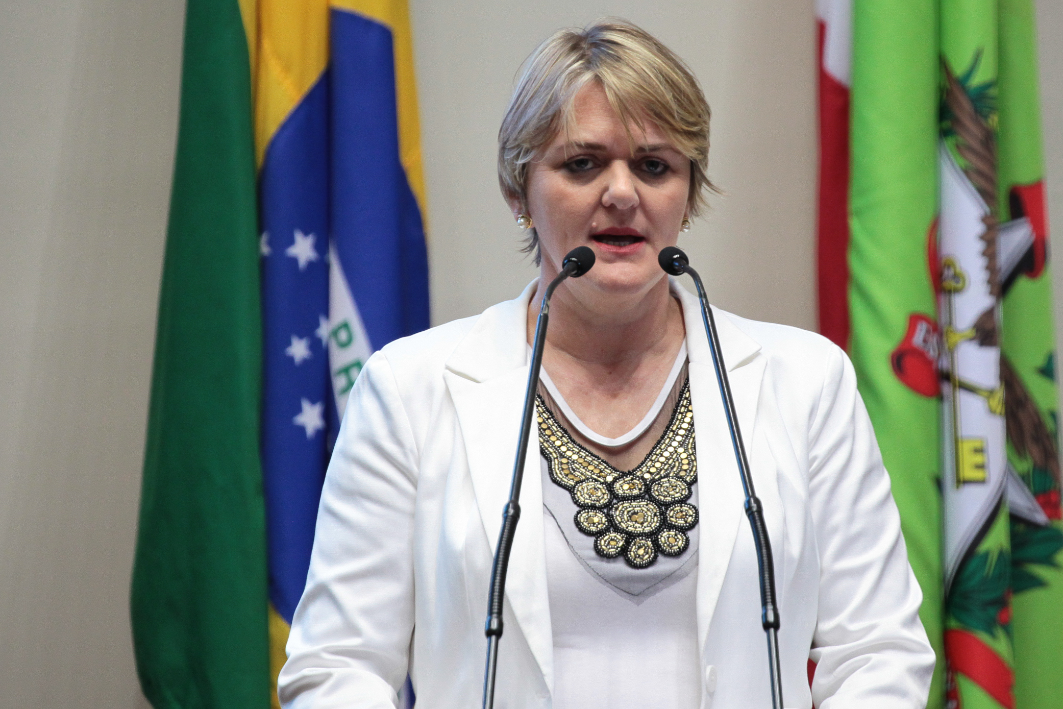 Sessão Ordinária. Deputada Luciane Carminatti (PT)