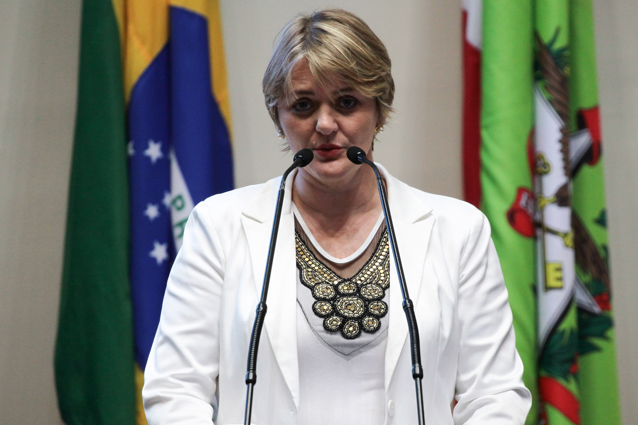 Sessão Ordinária. Deputada Luciane Carminatti (PT)
