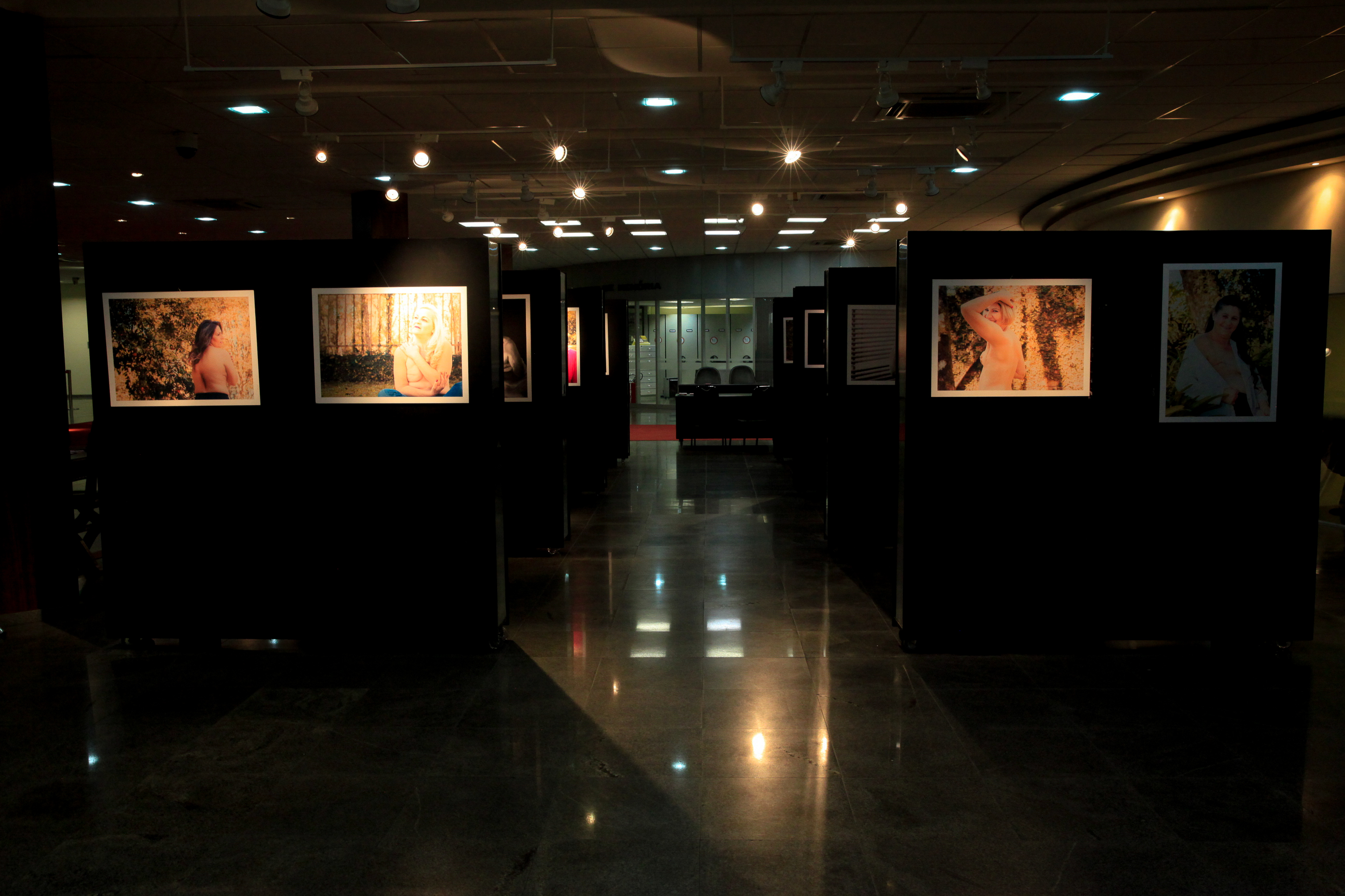 Exposição Cicatrizes.