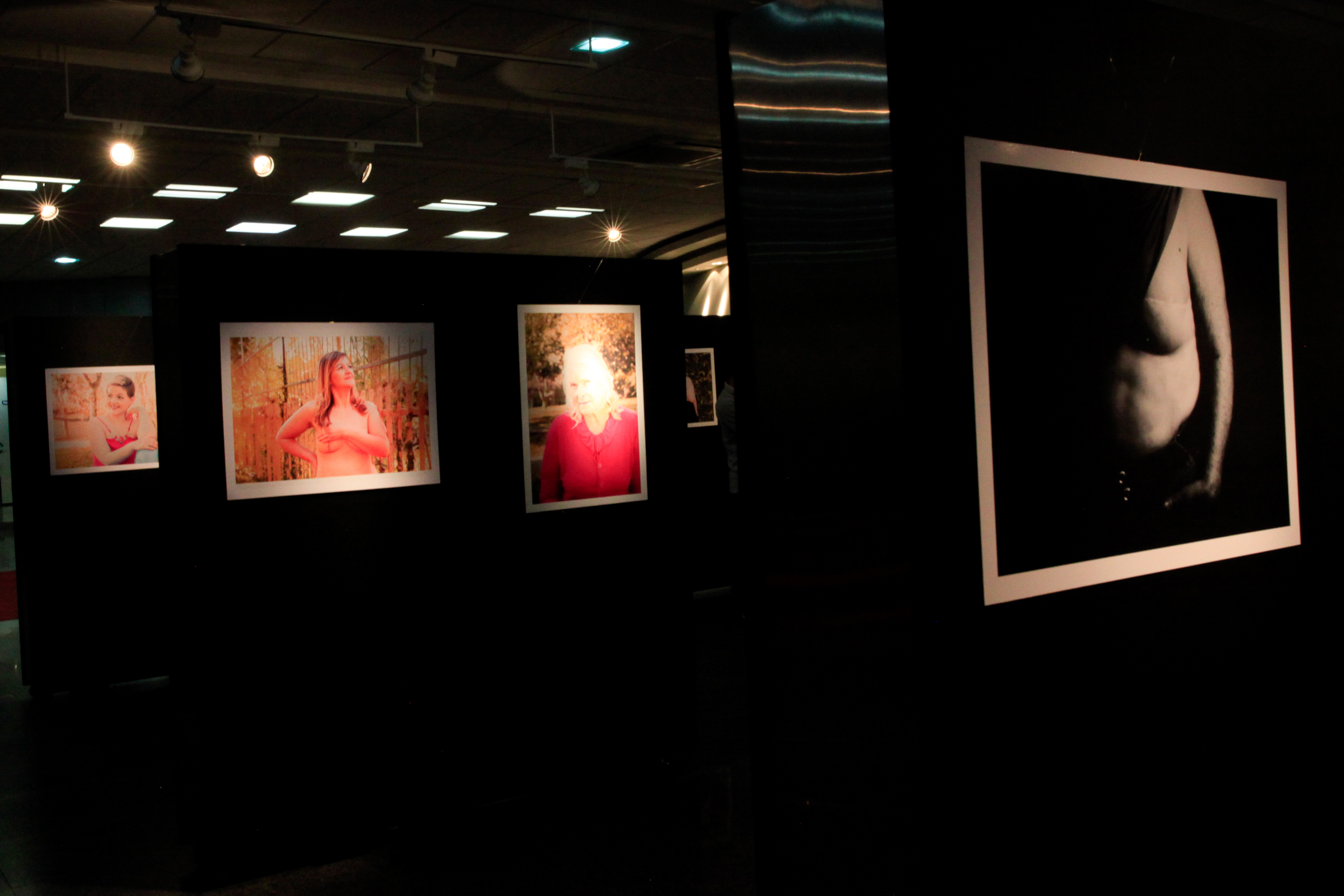 Exposição Cicatrizes.