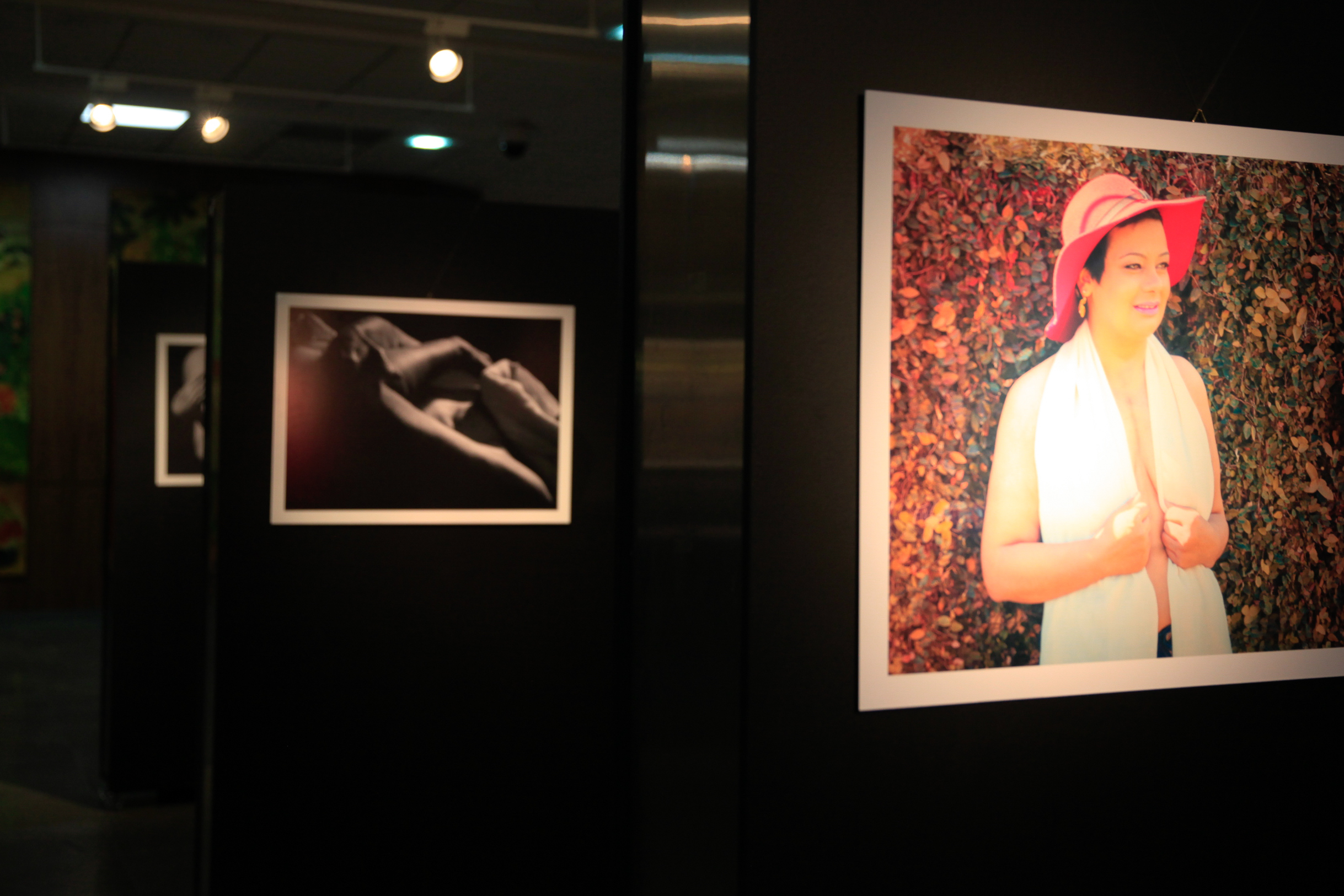 Exposição Cicatrizes.