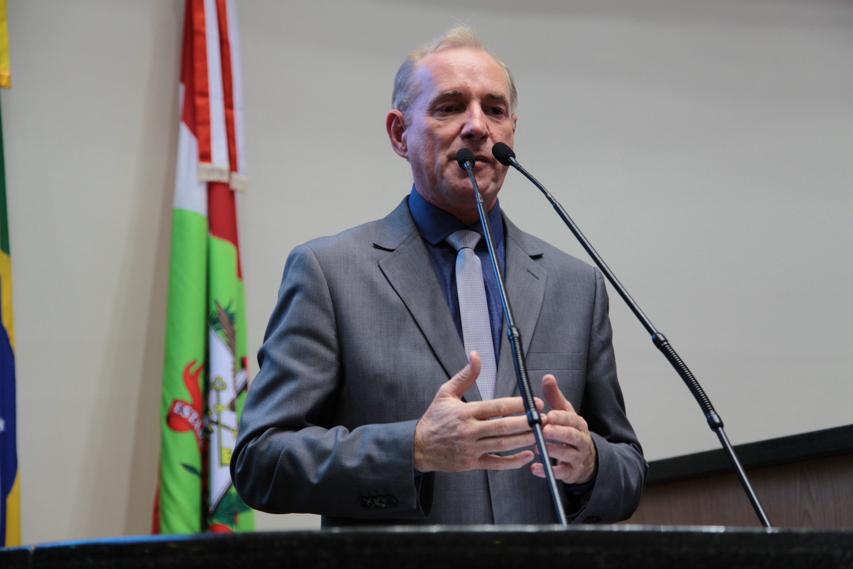 Sessão Ordinária. Deputado Aldo Schneider (PMDB) .