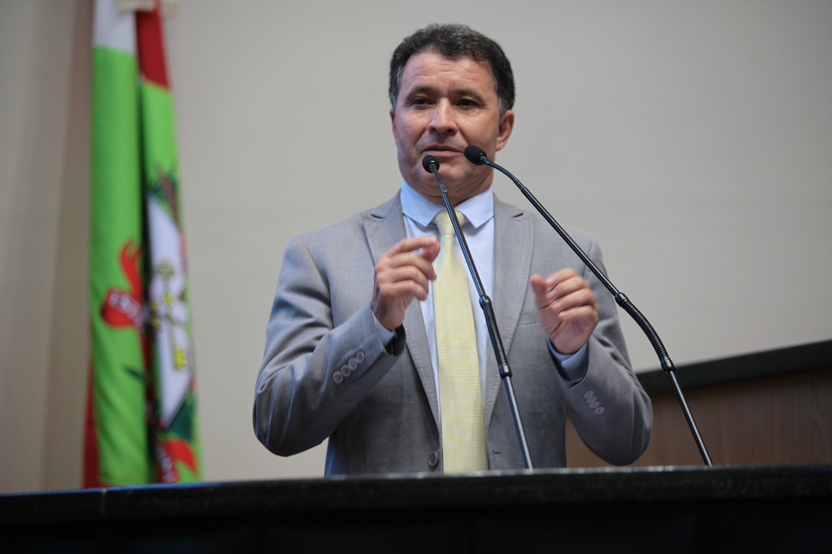 Sessão Plenária - Deputado Darci de Matos (PSD