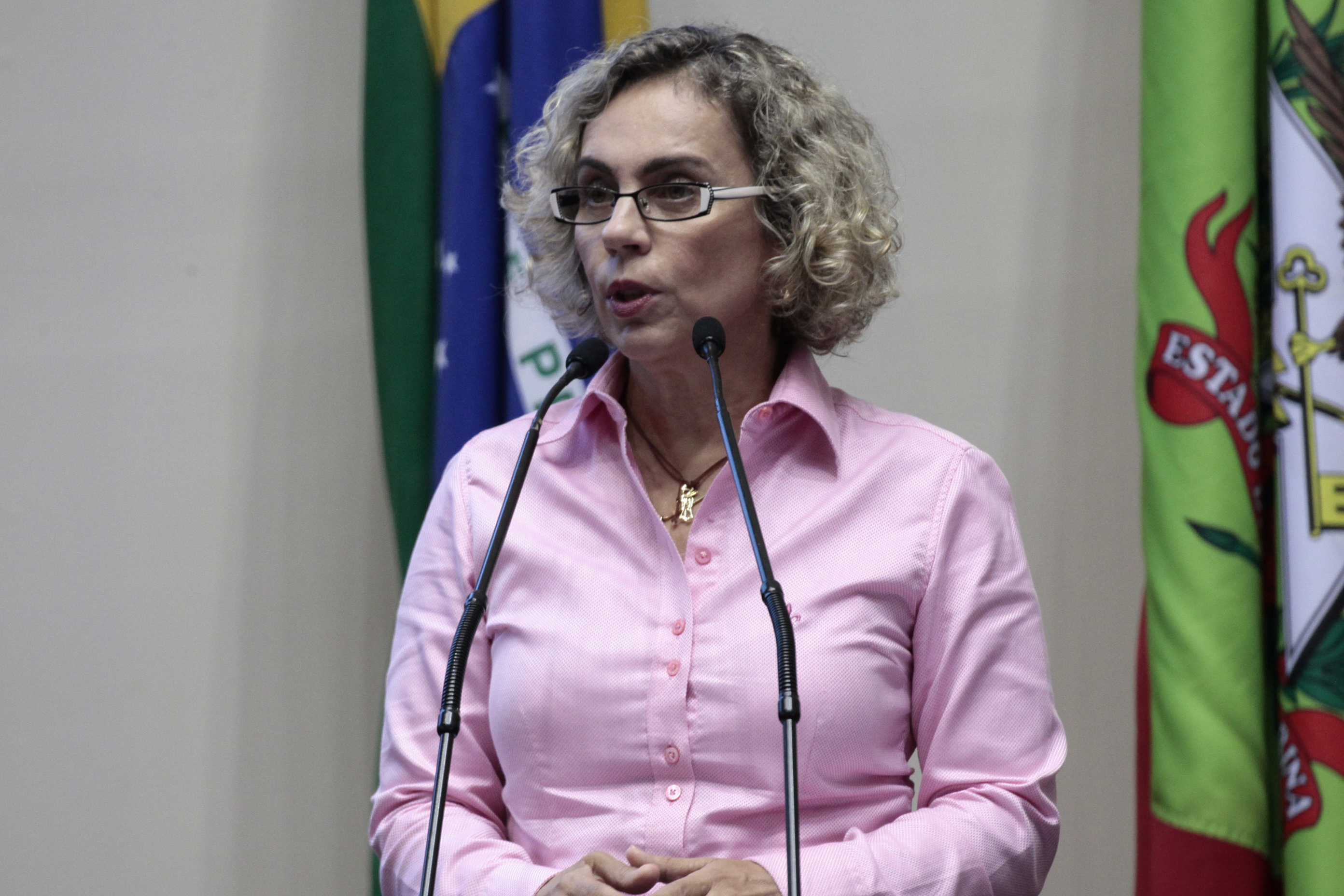 Deputada Ana Paula Lima (PT). Sessão Ordinária.