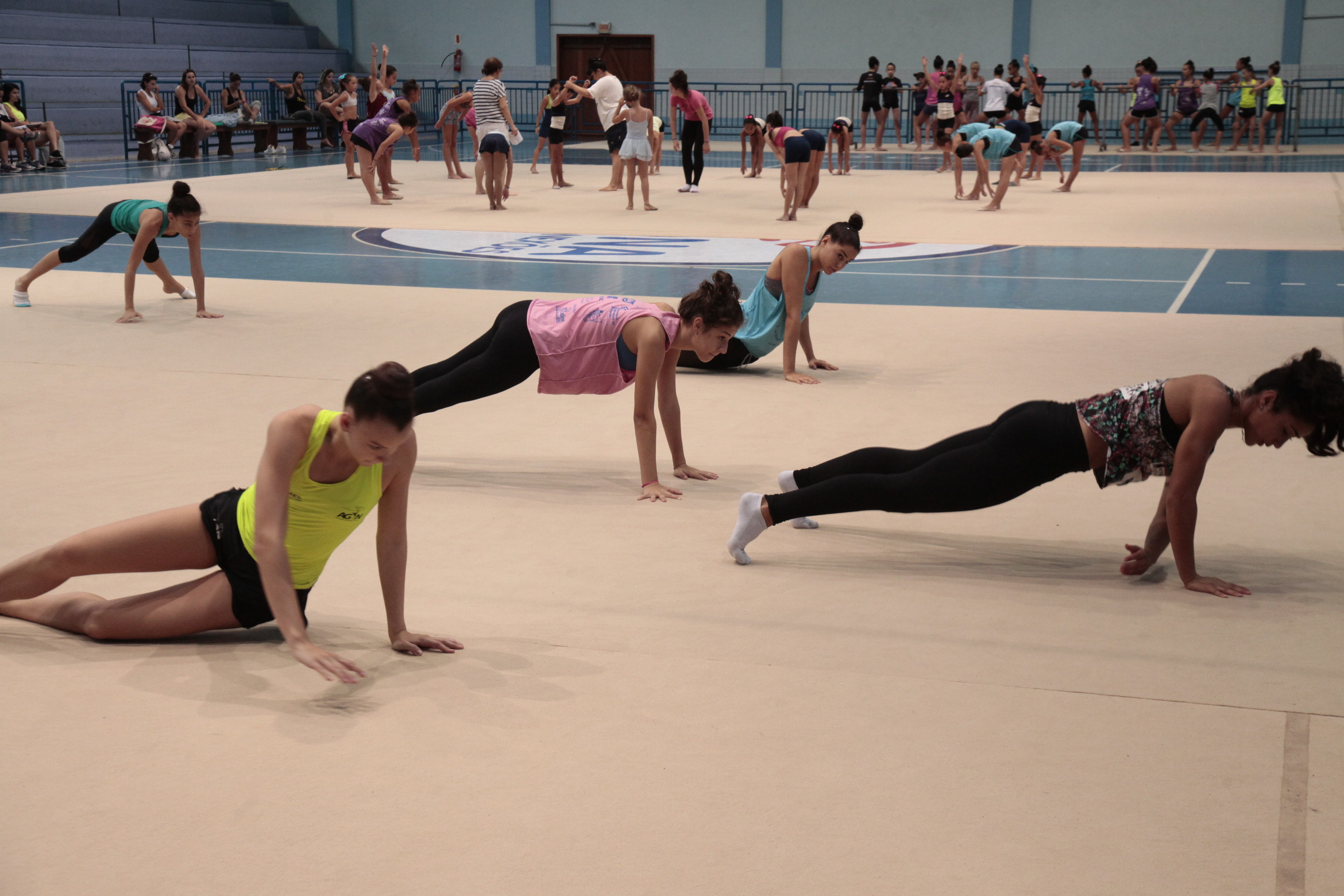 IEE - Ginástica Rítmica.