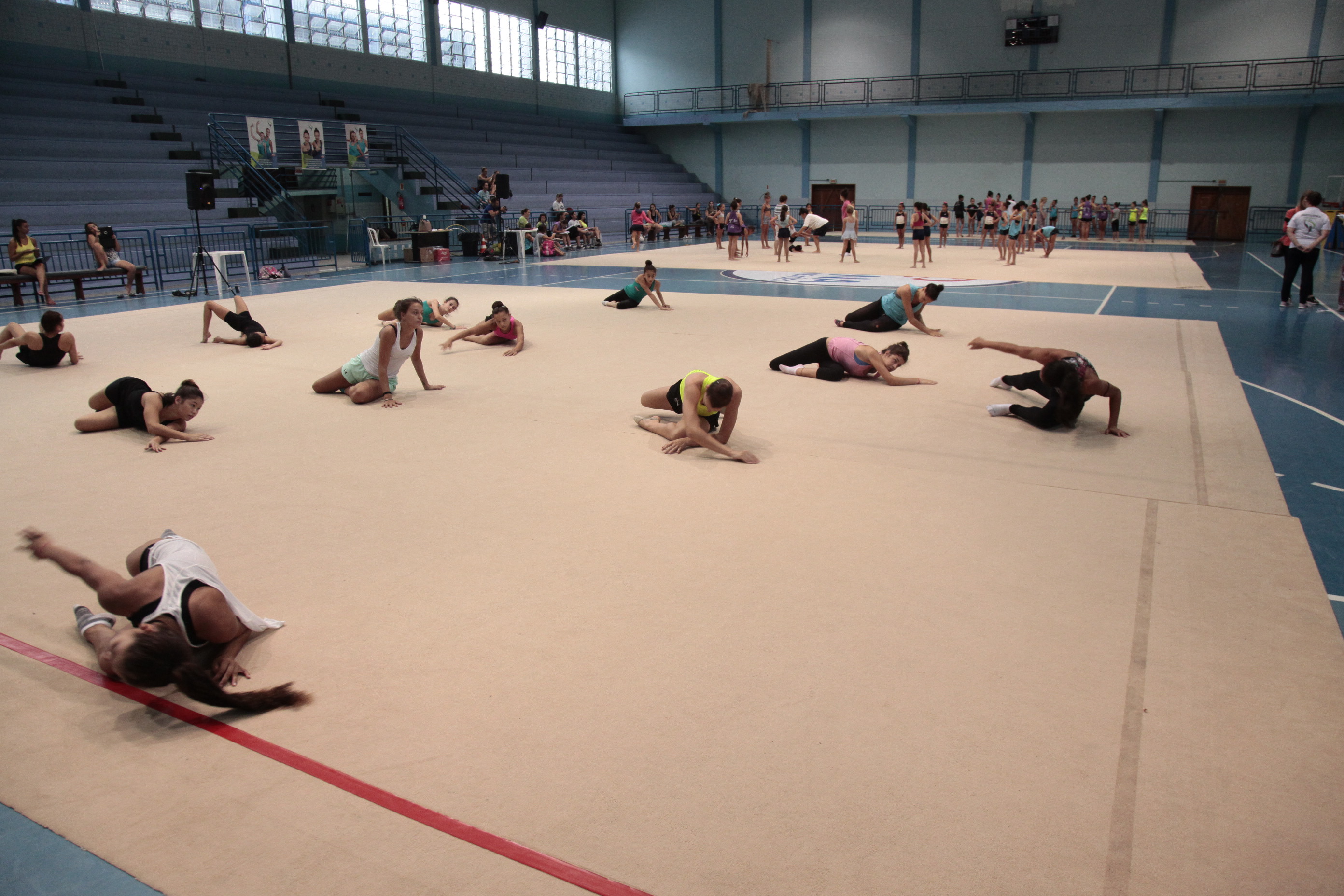 IEE - Ginástica Rítmica.