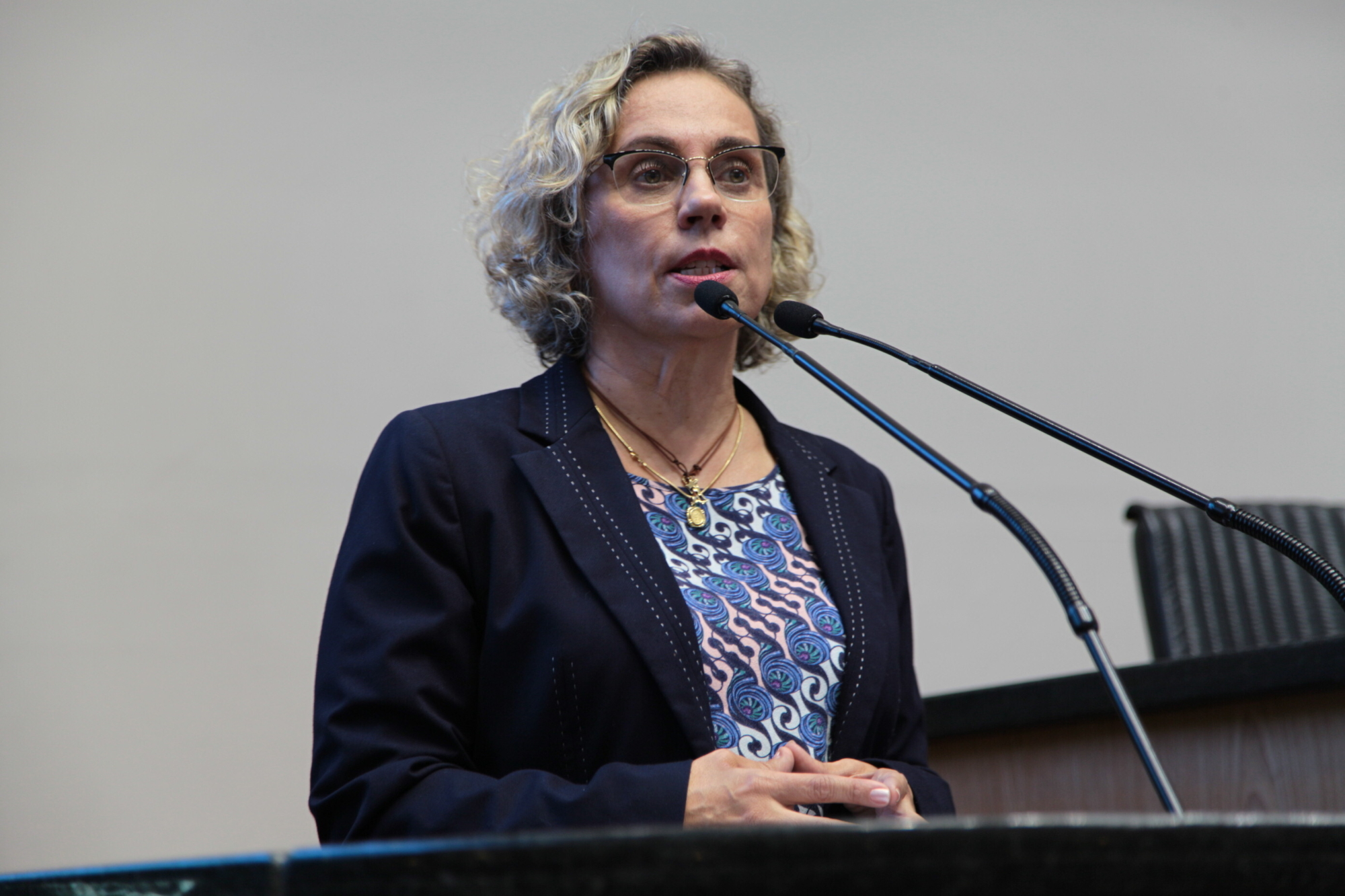 Deputada Ana Paula Lima