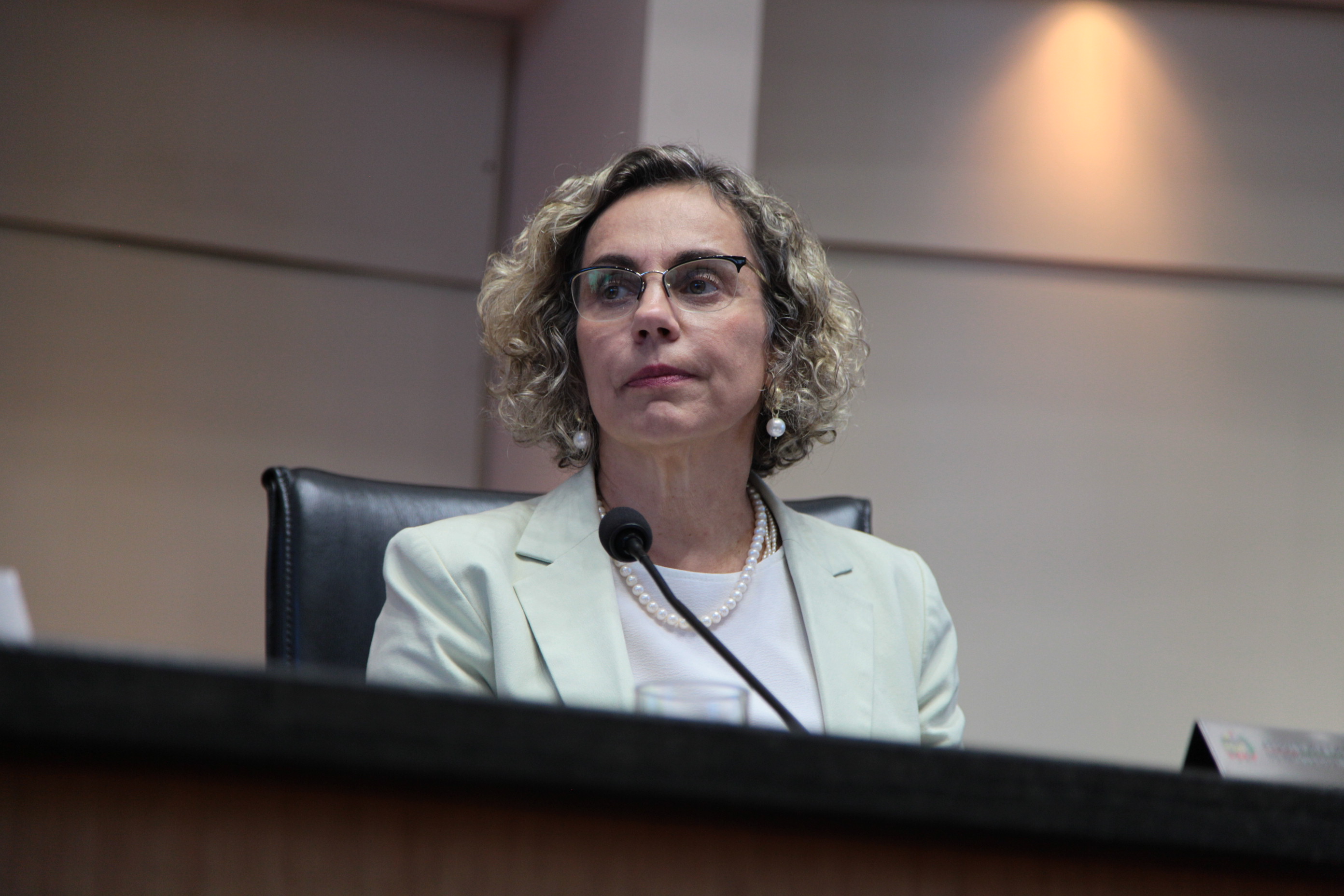 Sessão Ordinária - Deputada Ana Paula Lima (PT)
