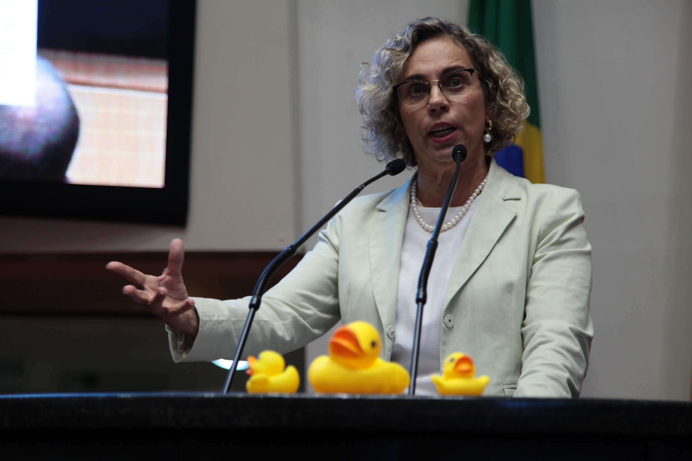 Sessão Ordinária - Deputada Ana Paula Lima (PT)