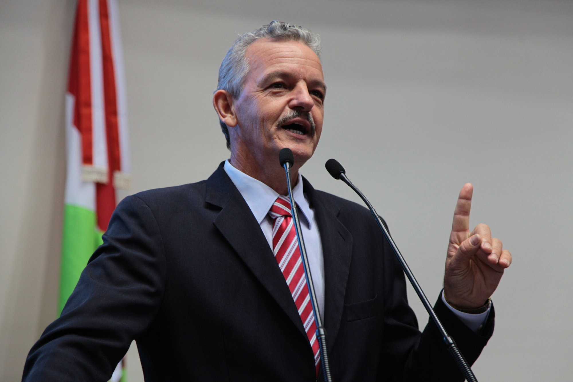 Deputado quer limitar distância para plantio de árvores próximo à rede de energia