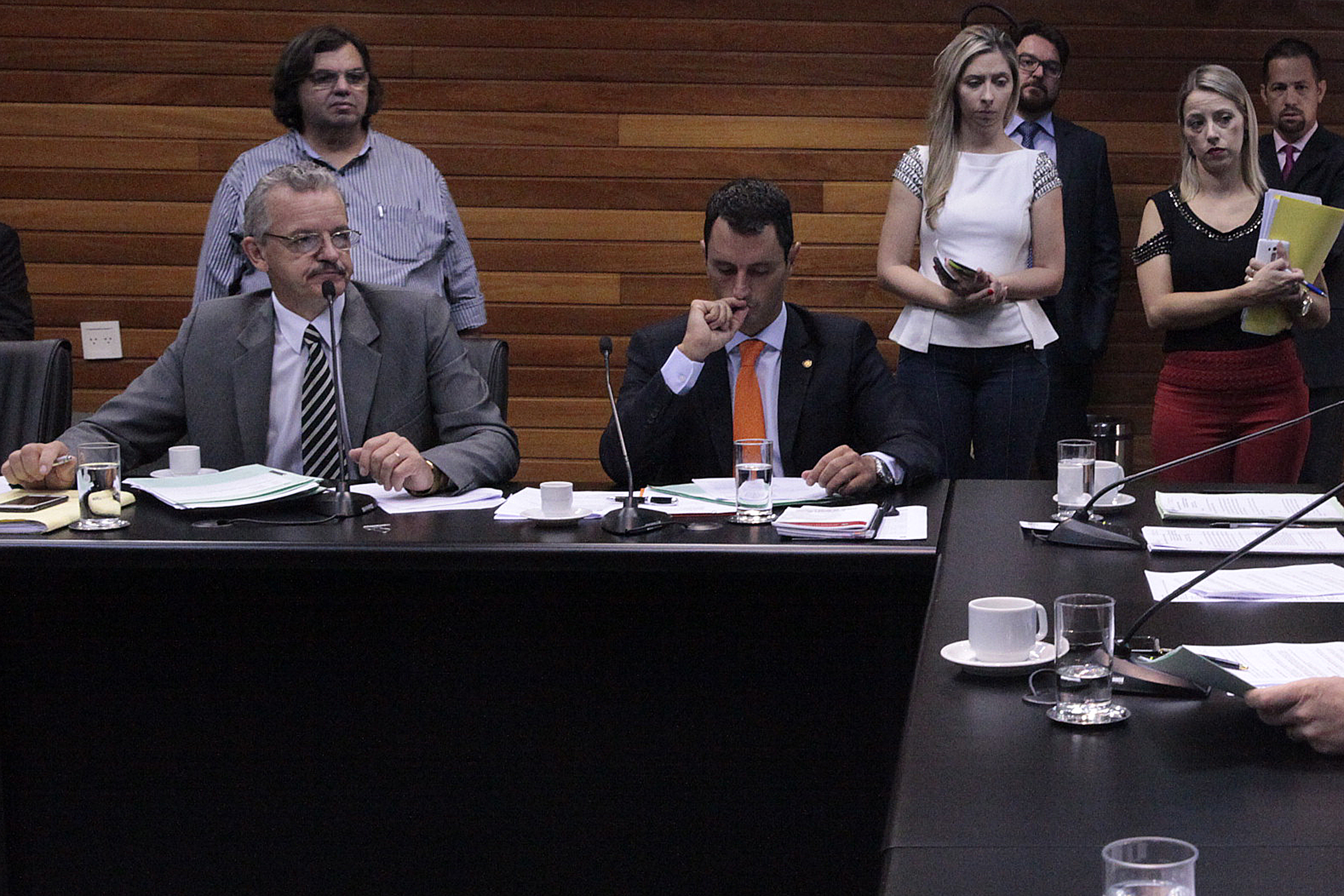 Comissão de Constituição e Justiça.