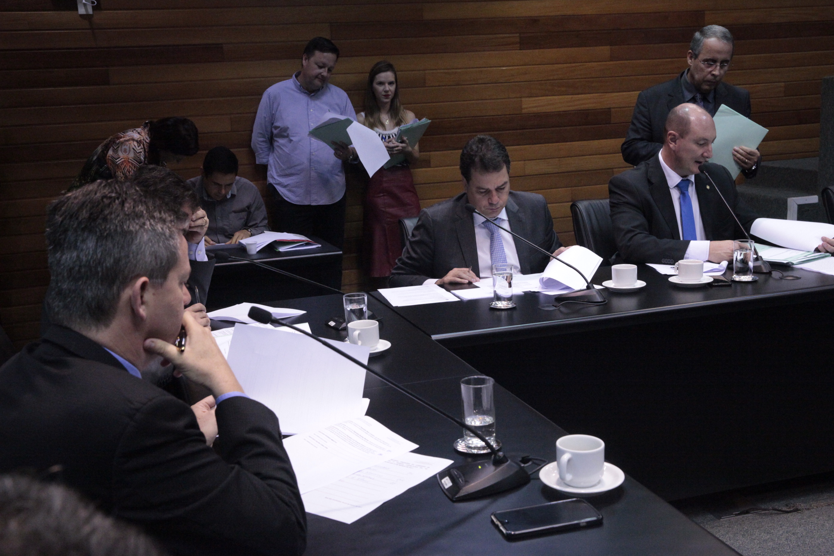 Comissão de Constituição e Justiça.