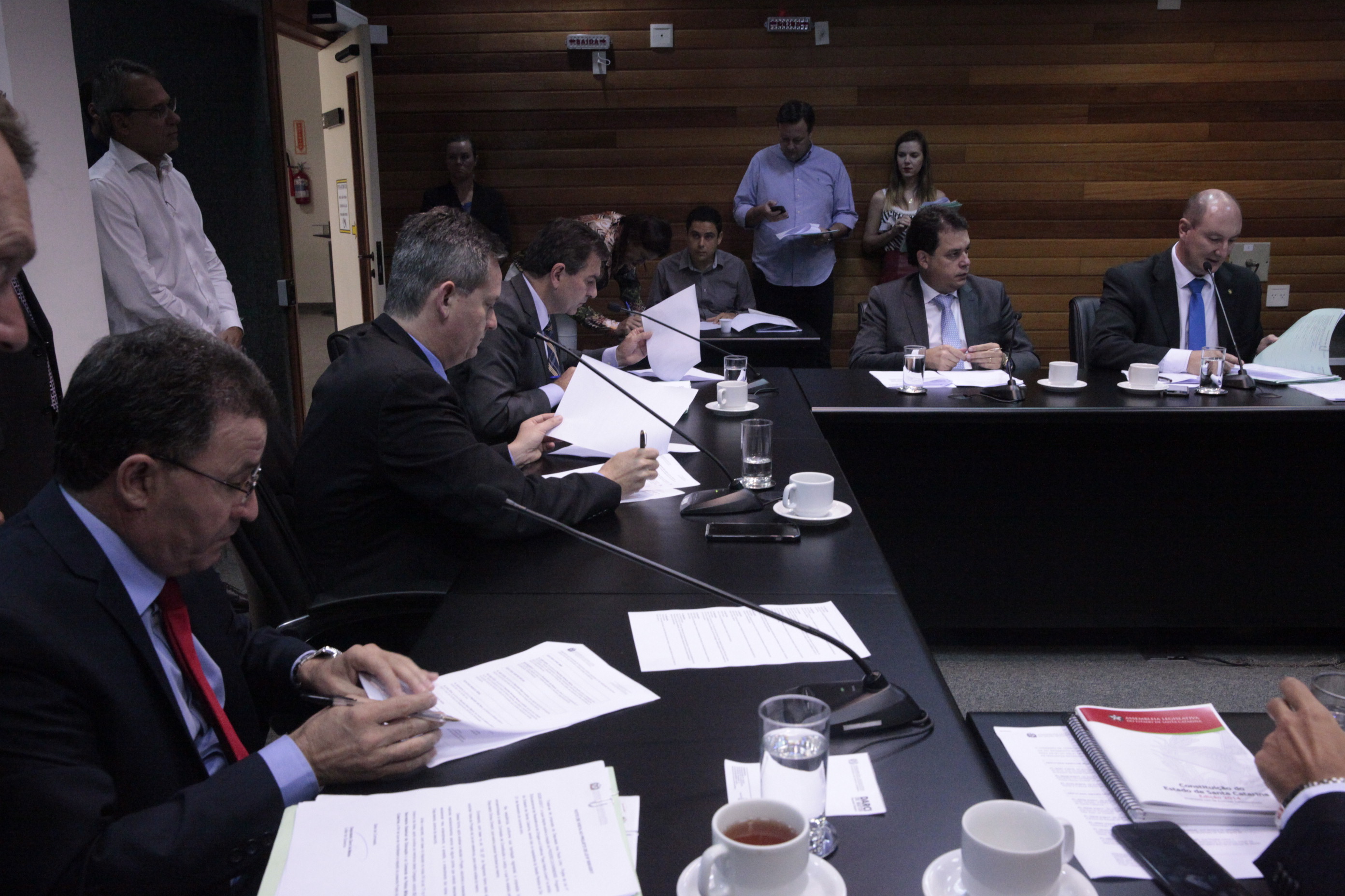 Comissão de Constituição e Justiça.
