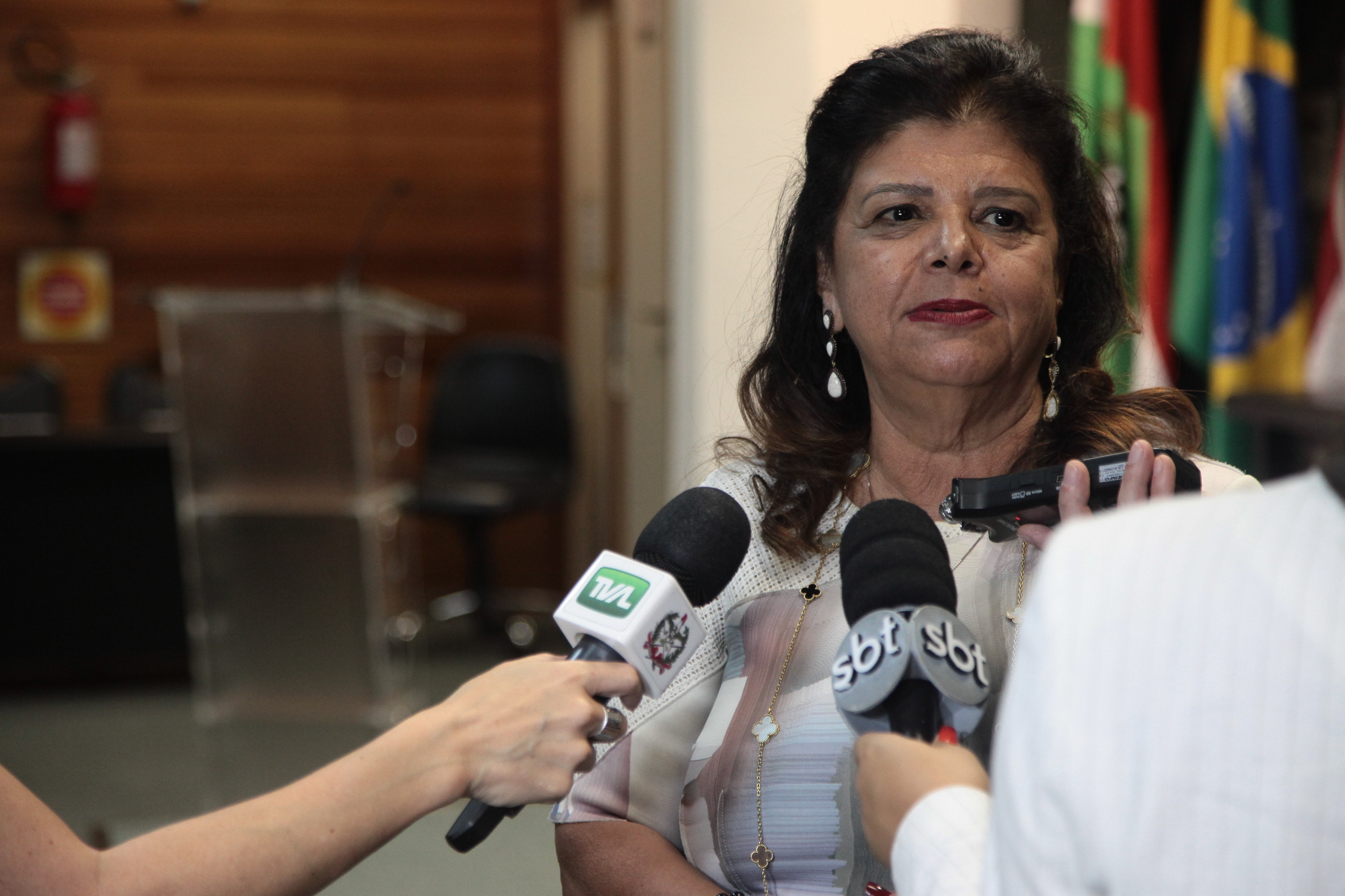 Luiza Trajano. Movimento Mulheres do Brasil.