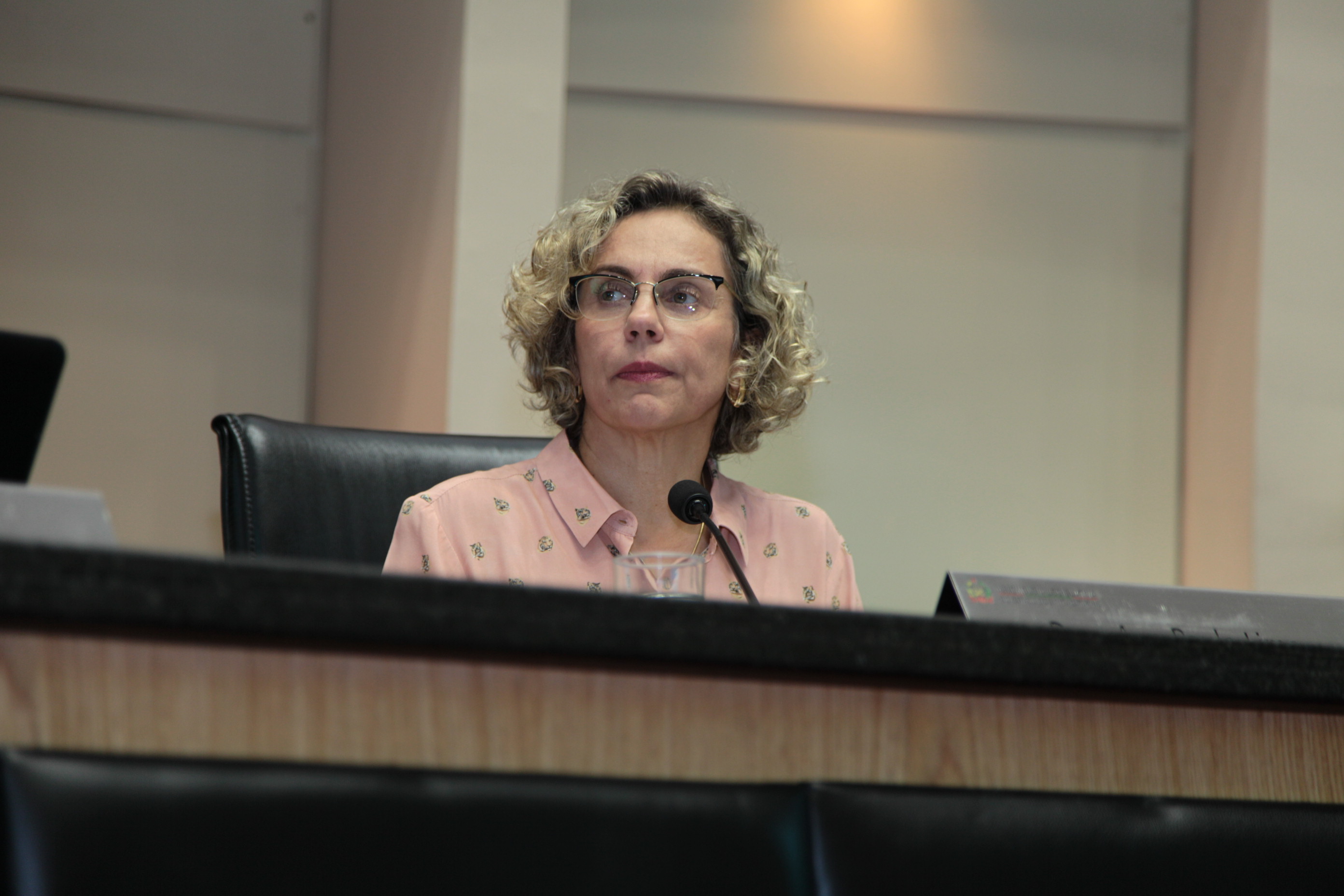 Sessão Ordinária - Deputada Ana Paula Lima (PT)