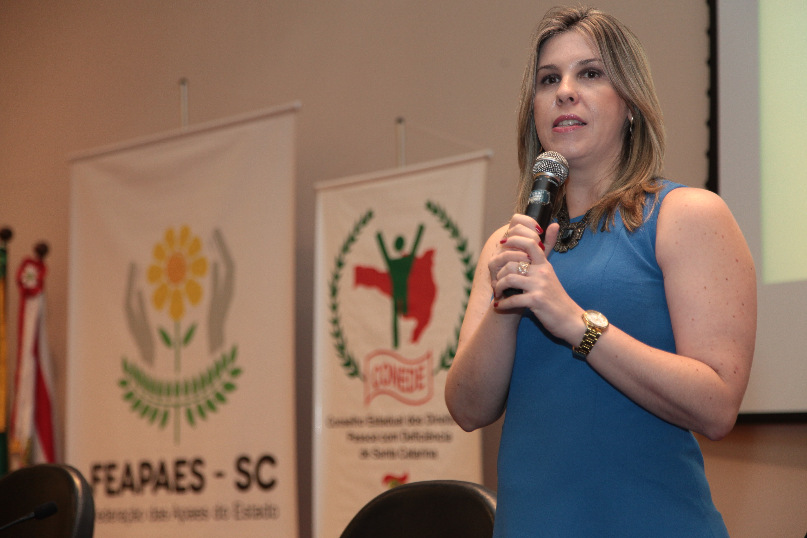 Clarissa Iser - diretora criativa da PROJETA. Seminário Captação de Recursos - Comissão de Defesa dos Direitos da Pessoa com Deficiência.
