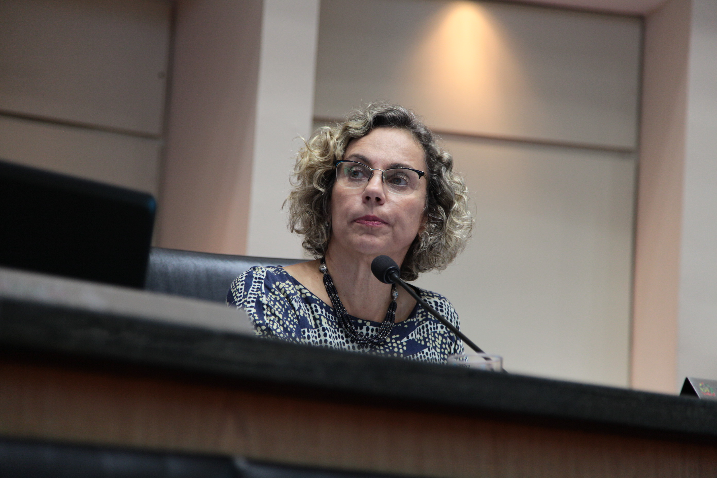 Sessão Plenária - Deputada Ana Paula Lima (PT)