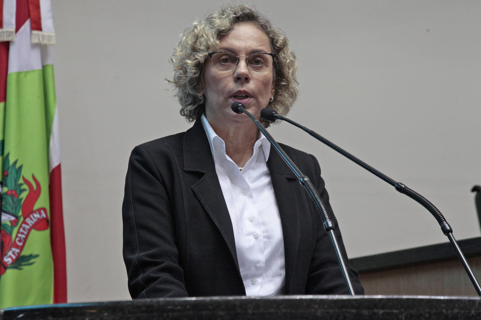 Deputada Ana Paula Lima