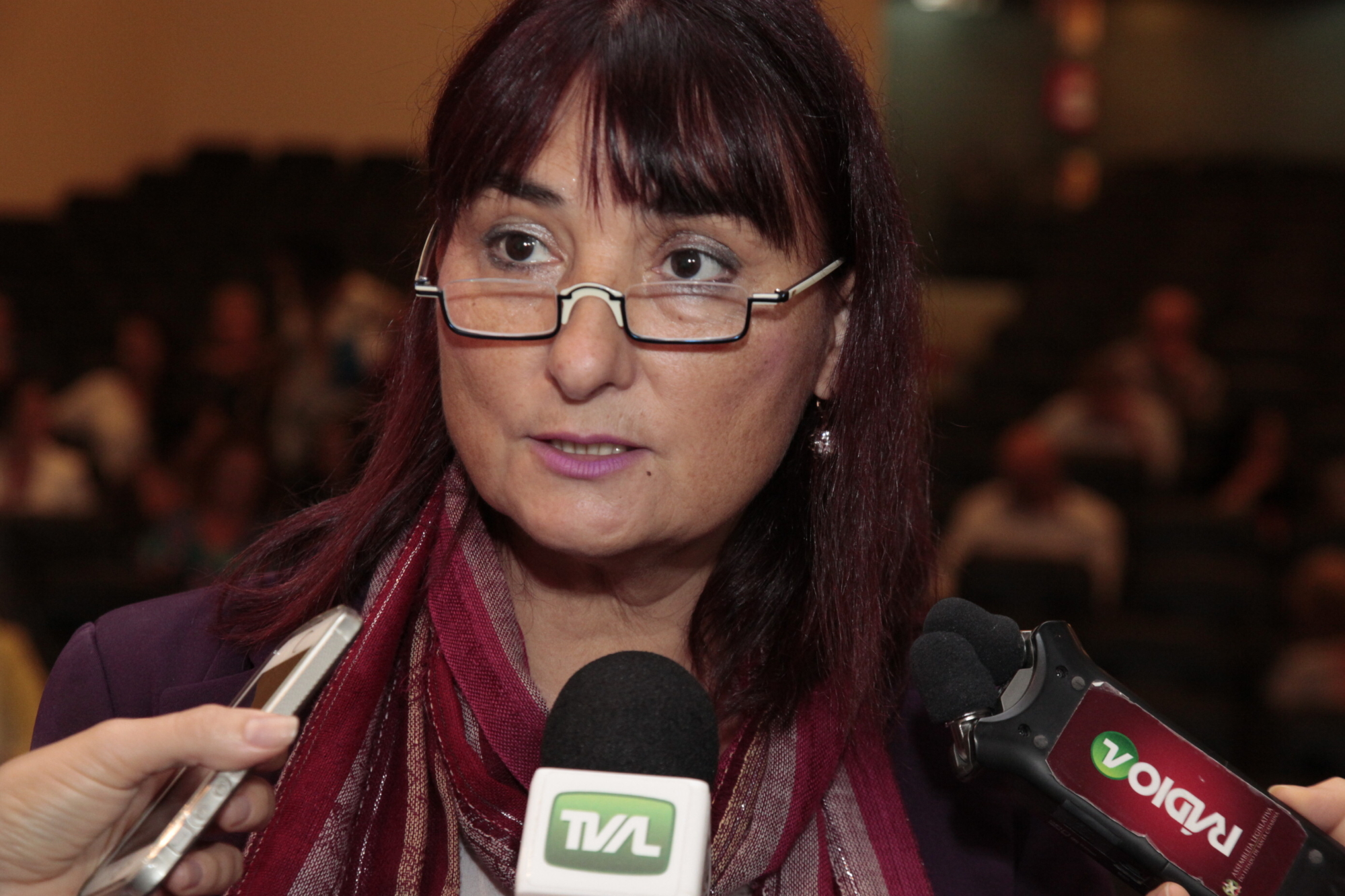 Ari Rabaiolli apresenta pleitos da categoria na tribuna