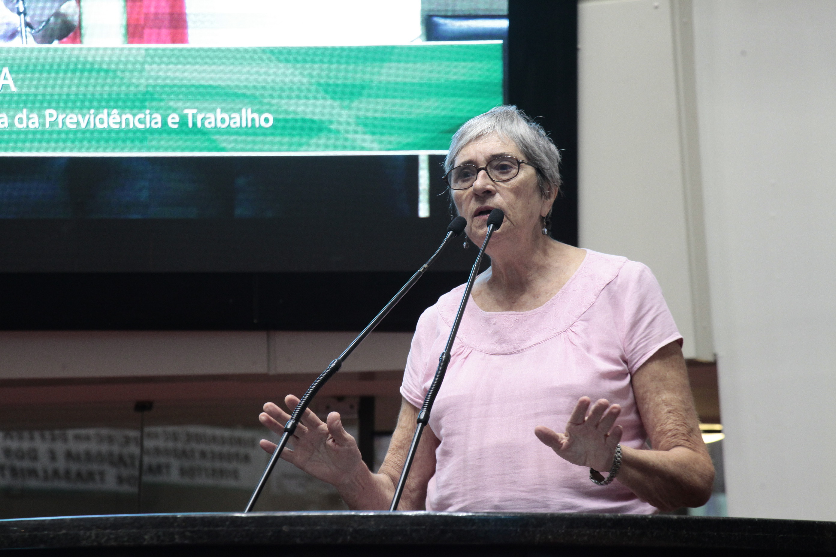 Comissão de Trabalho Promove Audiência Pública Sobre Reforma da Previdência.