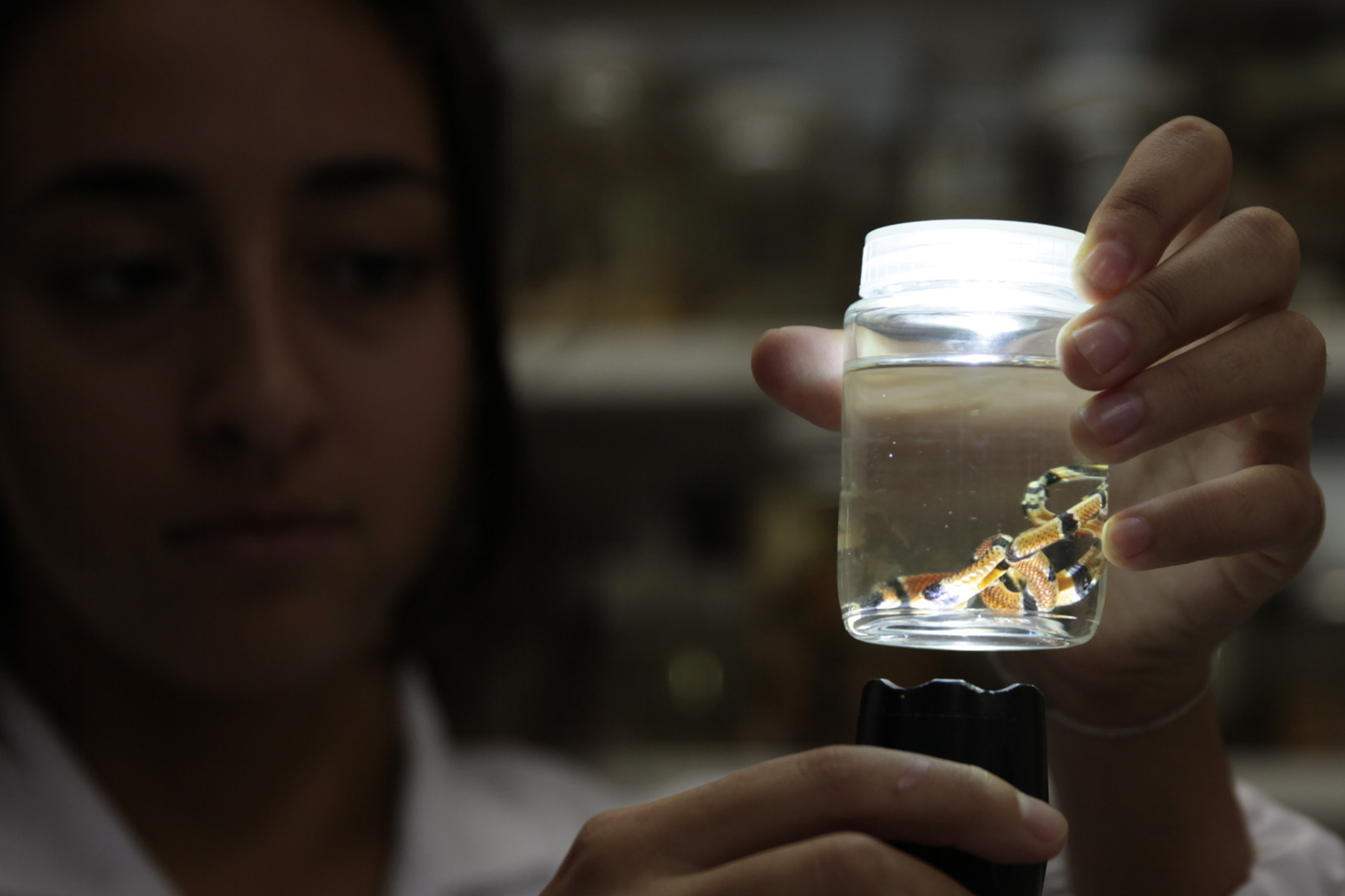 Centro de Informações Toxicológicas de SC.