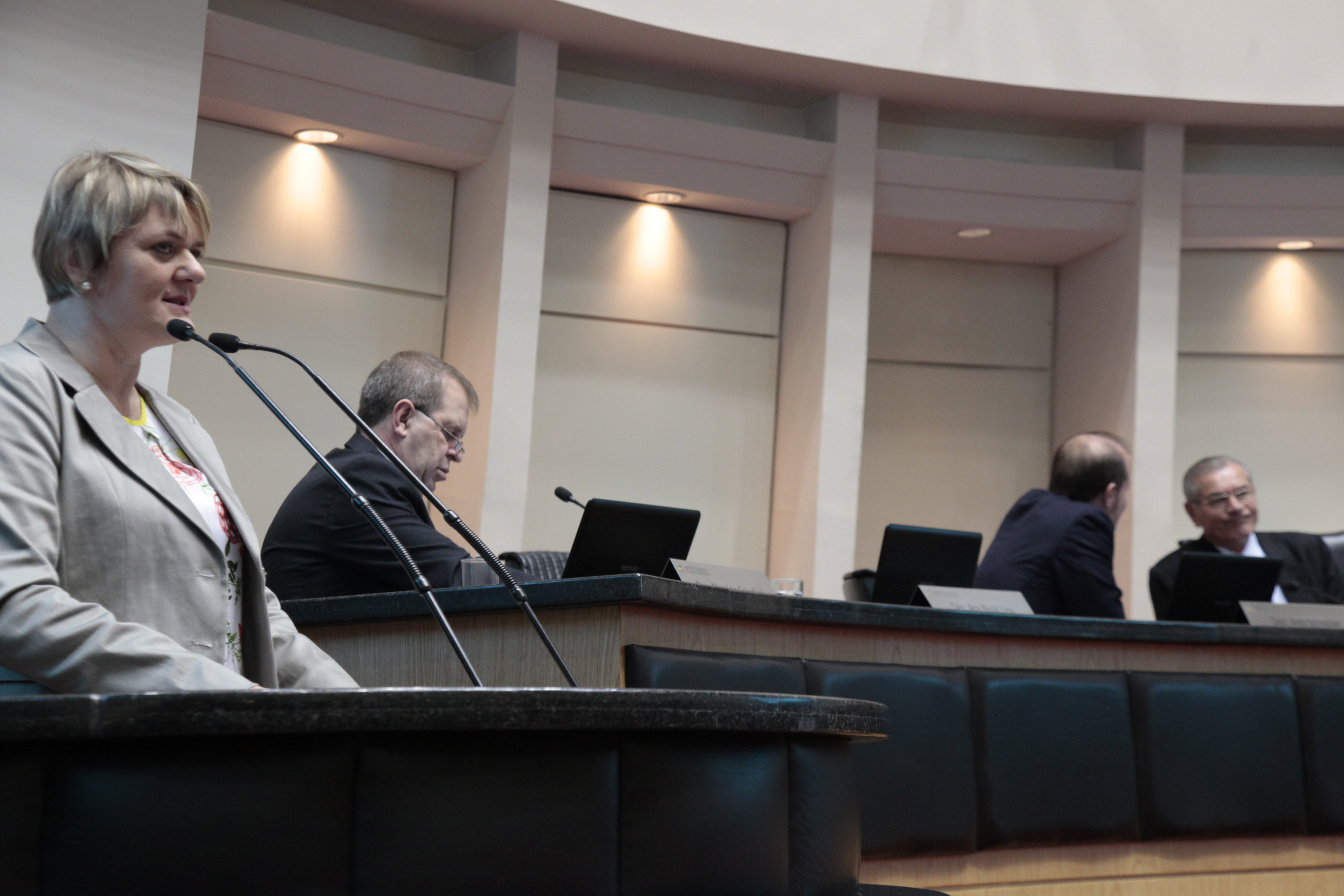 Sessão Ordinária. Deputada Luciane Carminatti (PT)