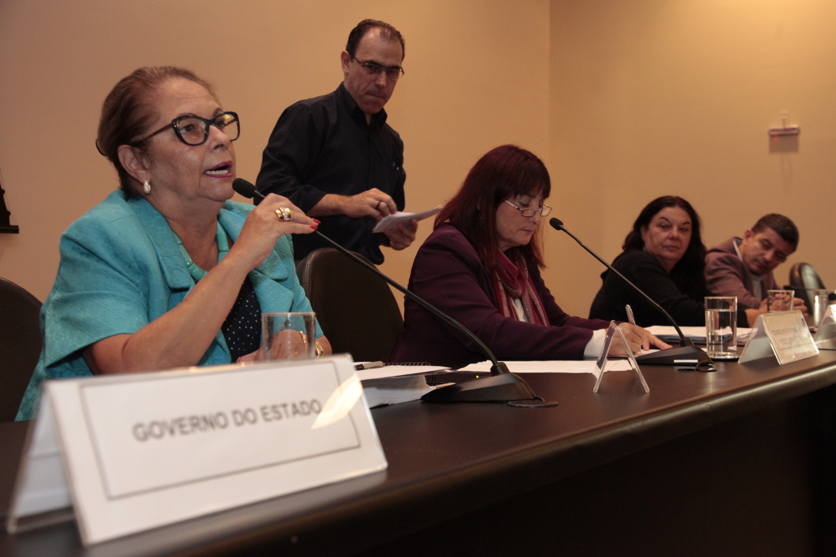 Seminário Estadual Direitos Humanos _ Ada de Luca Secretária de Justiça e Cidadania