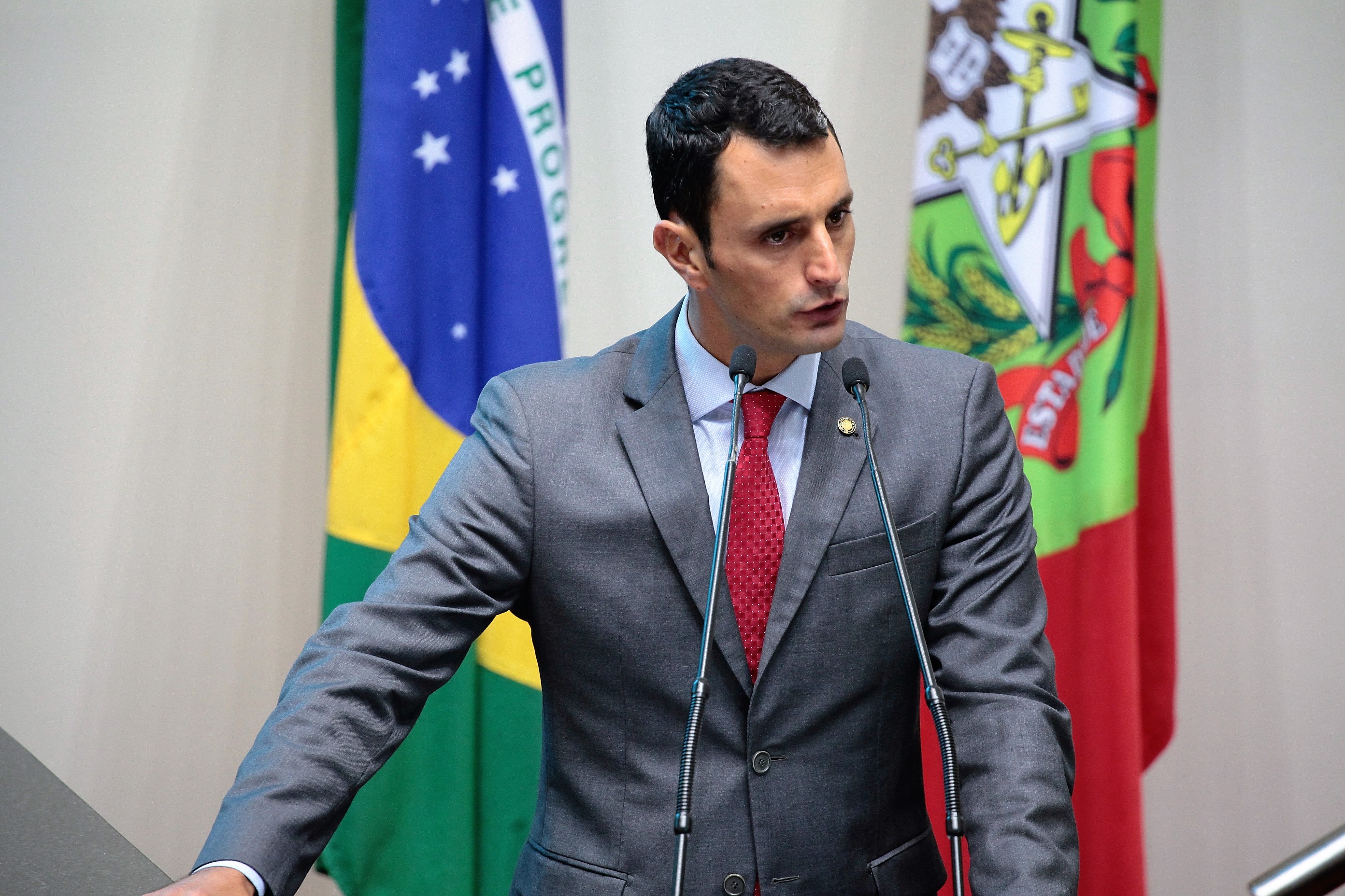 Sessão Ordinária. Deputado João Amin (PP)