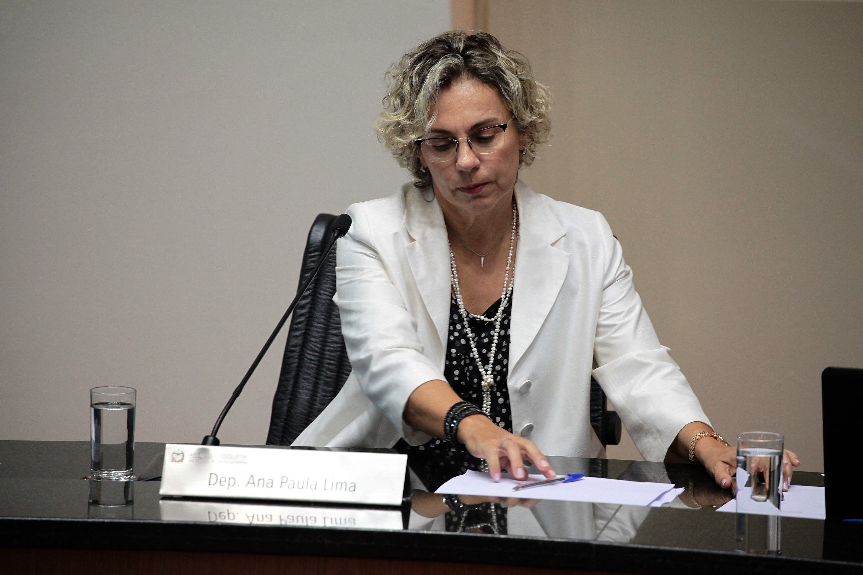 Sessão Ordinária. Deputada Ana Paula Lima (PT)