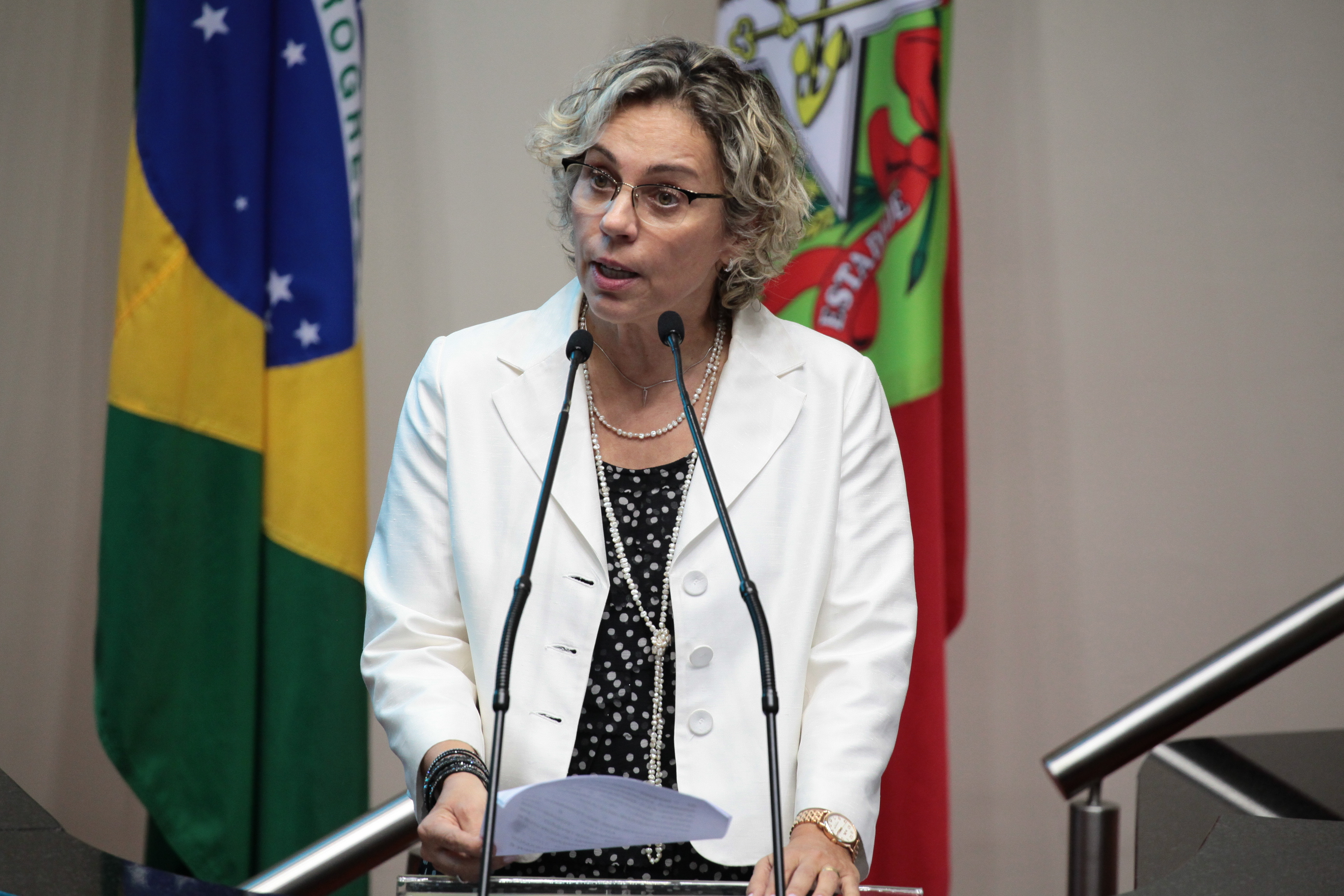 Sessão Ordinária. Deputada Ana Paula Lima (PT)