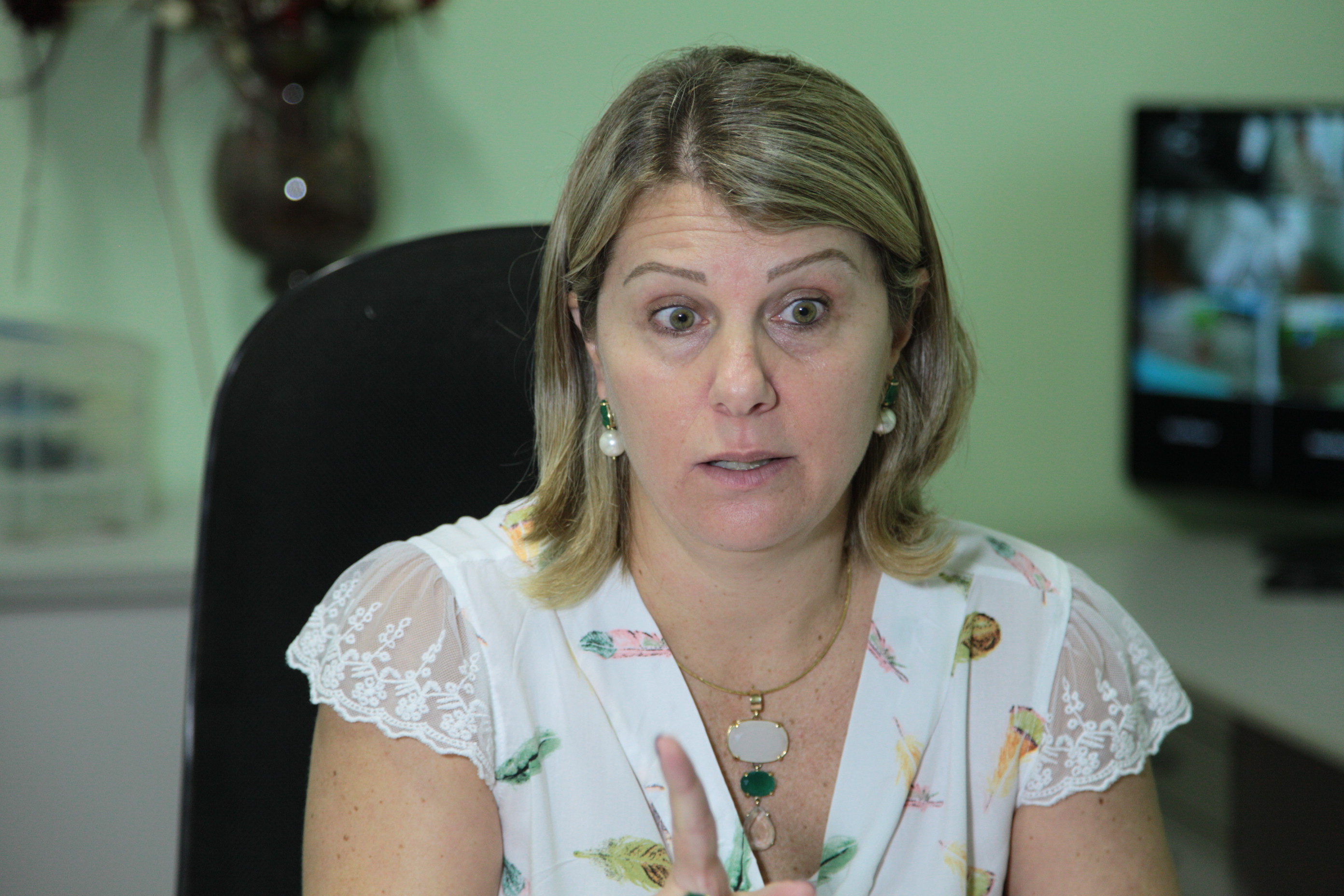 Eleições do Parlamento Jovem - EEB de Araranguá - Luciana Costa Martinelli