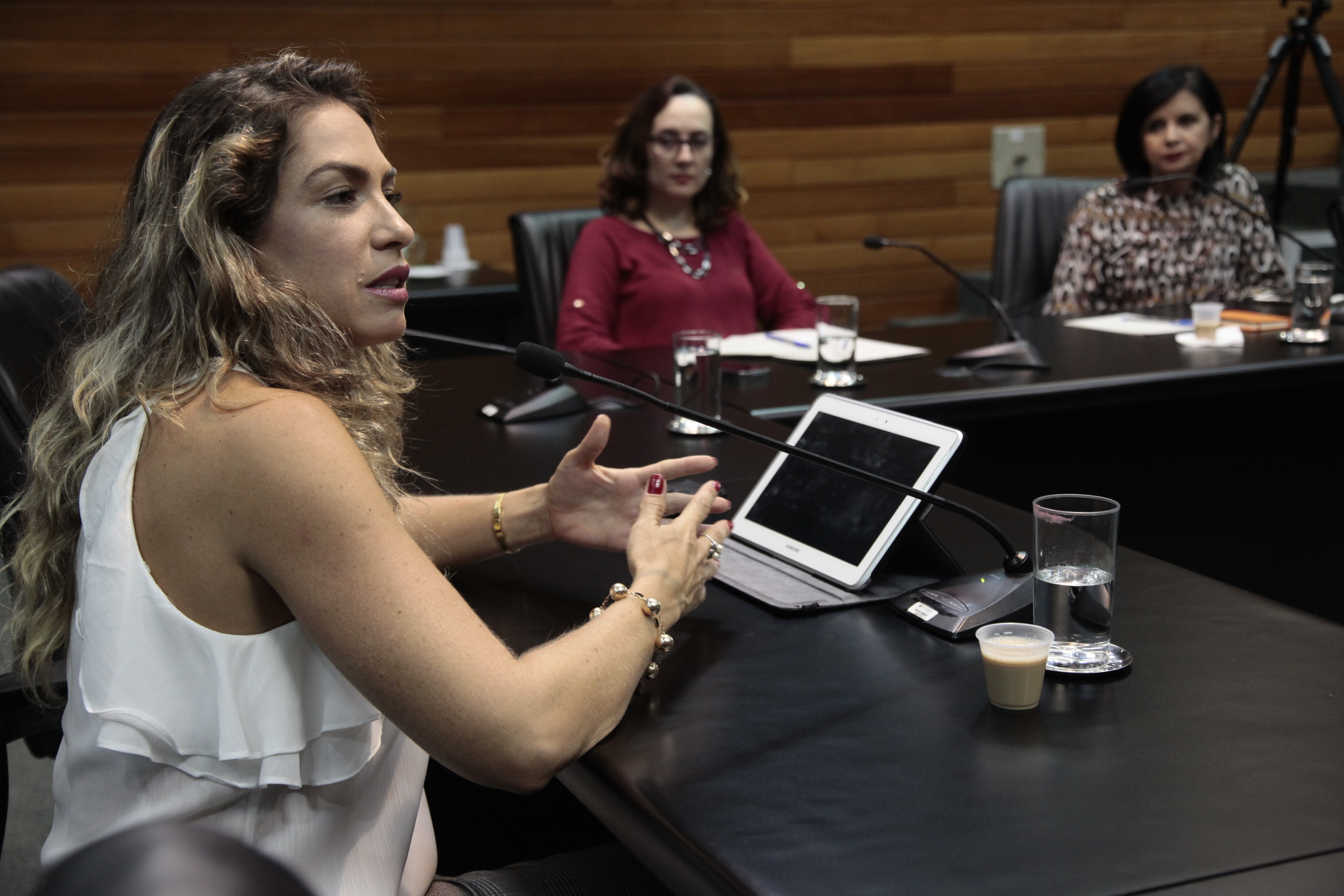 Reunião da Comissão de Responsabilidade Social.