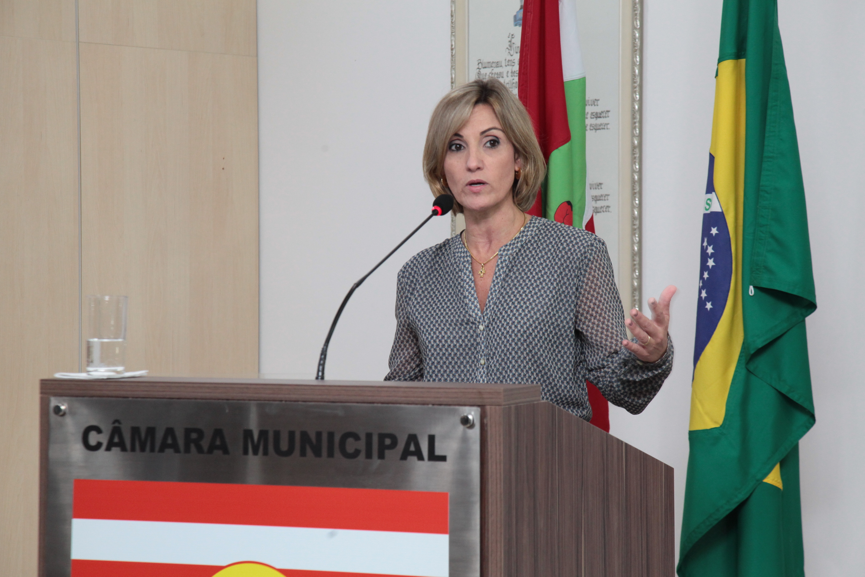 Seminário Qualifica - Blumenau. Isabela Bertoncini.