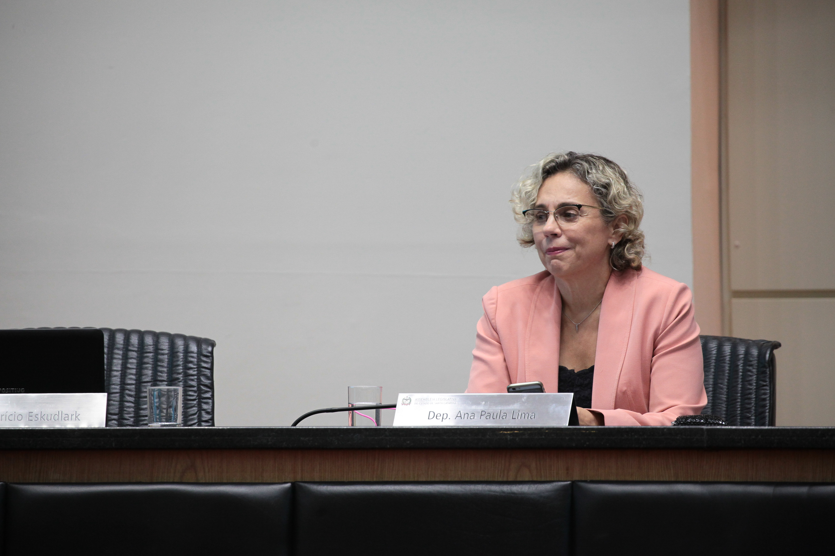Sessão Ordinária. Deputada Ana Paula Lima (PT)