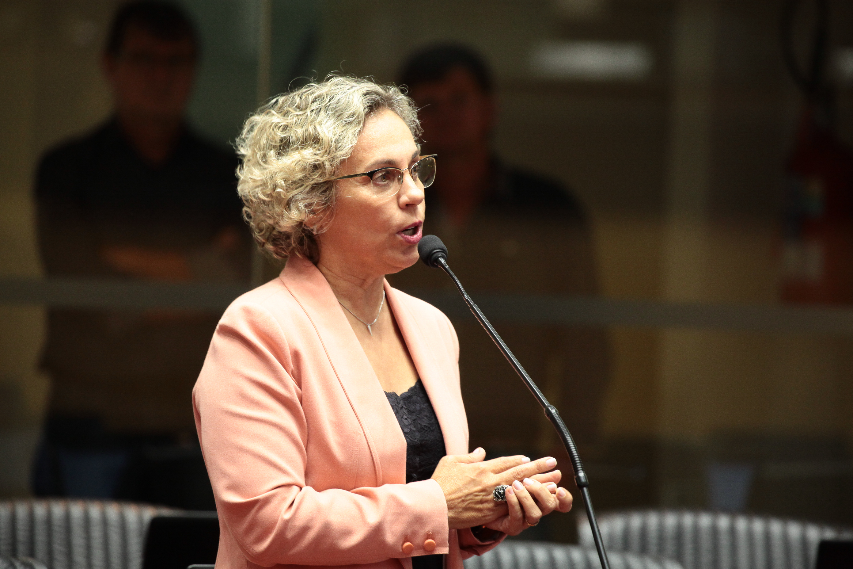 Sessão Ordinária. Deputada Ana Paula Lima (PT)